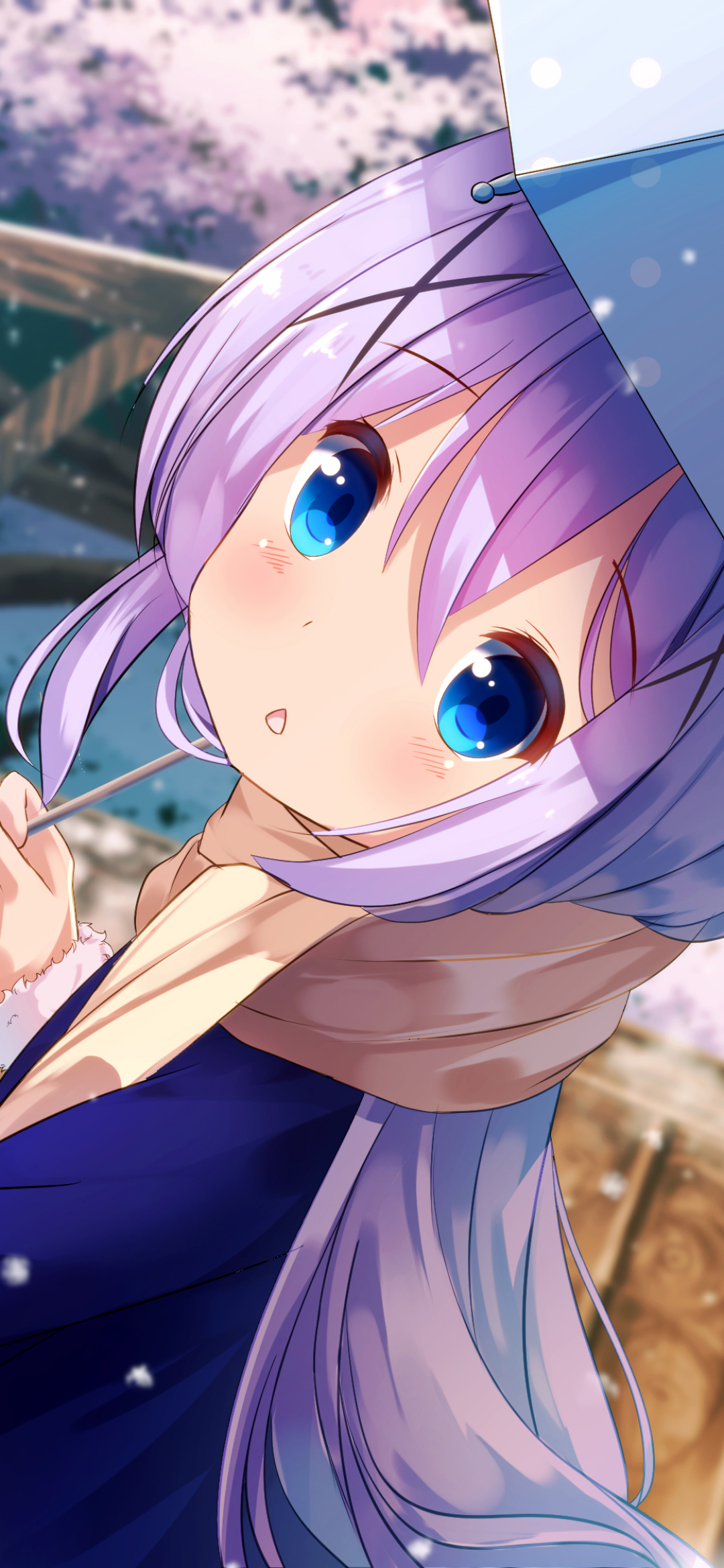 Handy-Wallpaper Gesicht, Schal, Blaue Augen, Erröten, Lila Haare, Animes, Chino Kafu, Gochuumon Wa Usagi Desu Ka? kostenlos herunterladen.