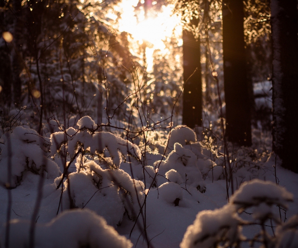 Téléchargez gratuitement l'image Hiver, Terre/nature sur le bureau de votre PC