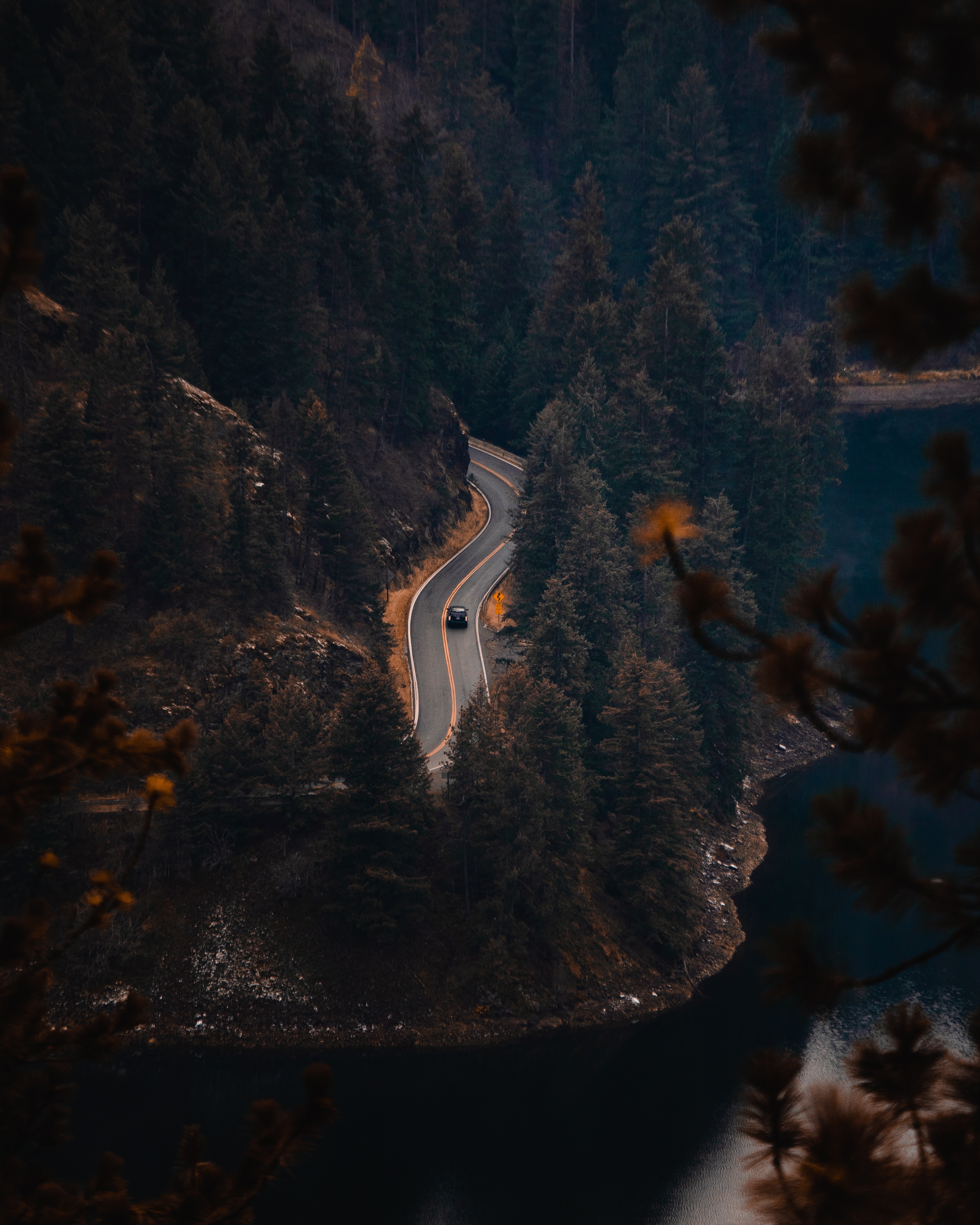 trees, road, nature, rivers, view from above