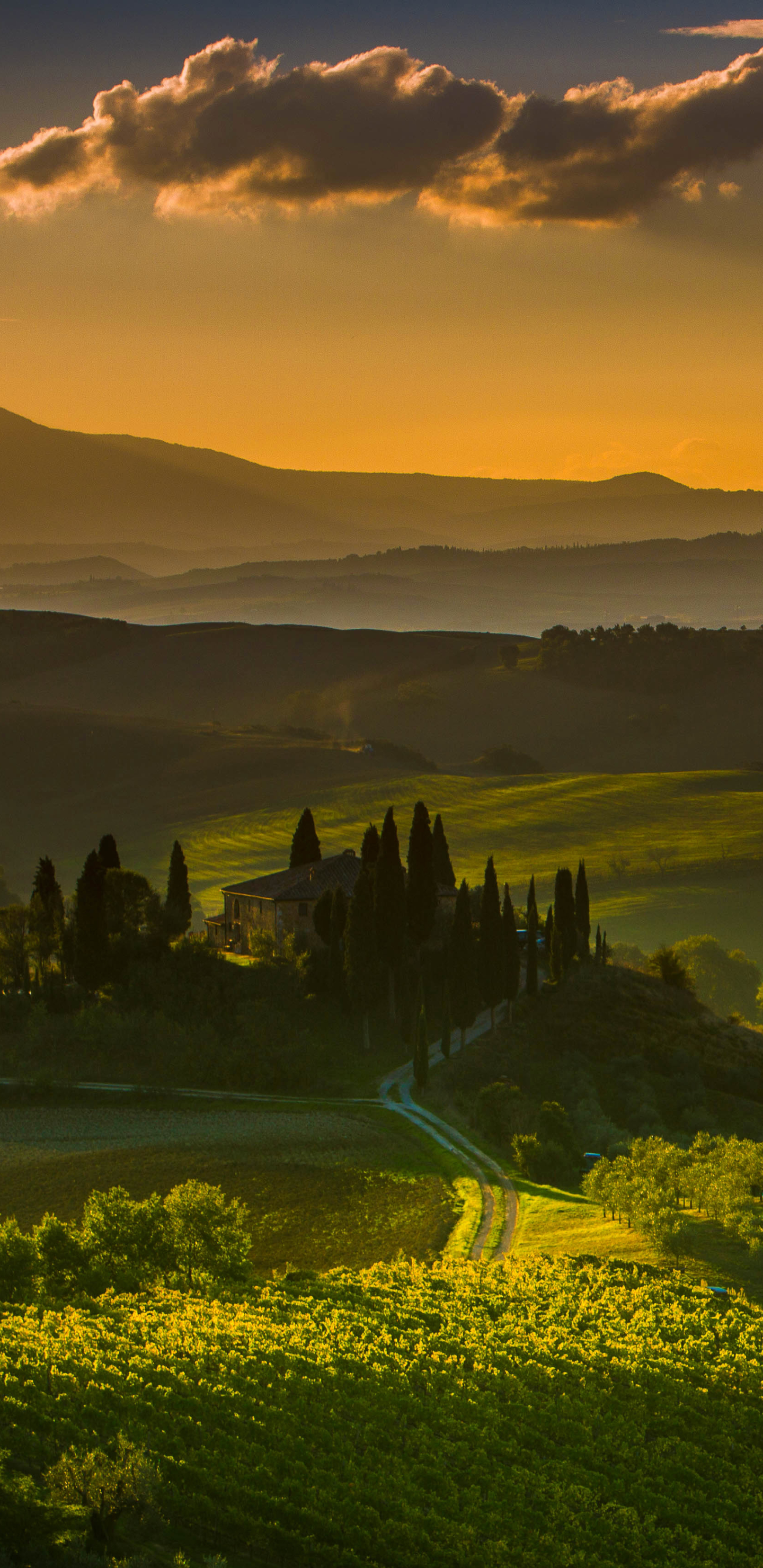 Скачать картинку Пейзаж, Италия, Холм, Ландшафт, Фотографии, Тоскана в телефон бесплатно.