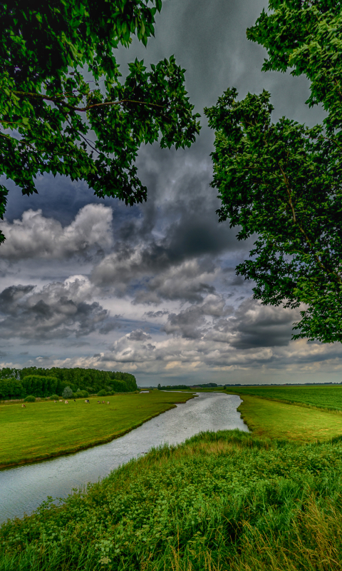 earth, river, tree, green, field, country High Definition image