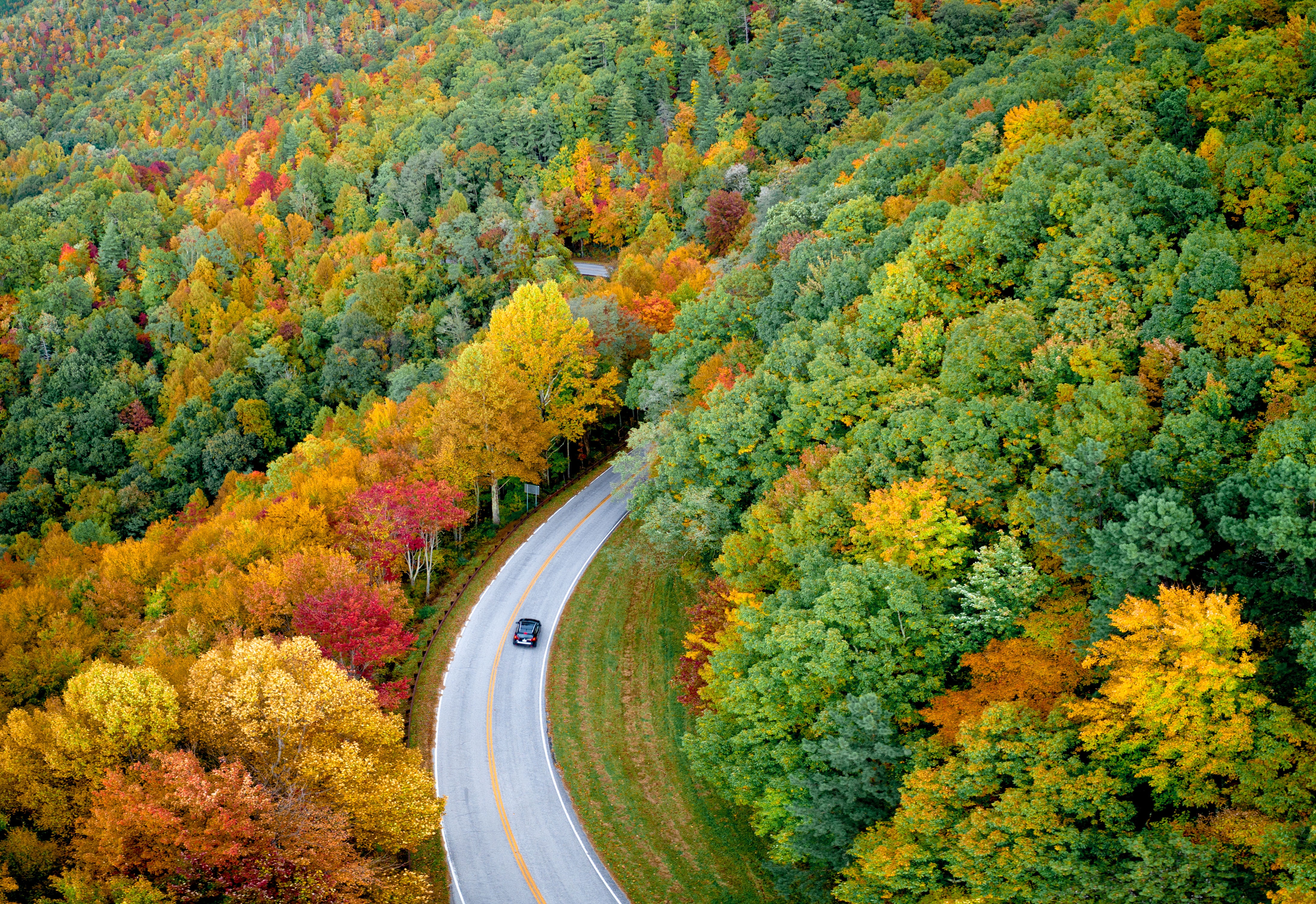 Download mobile wallpaper Road, Forest, Photography, Aerial for free.