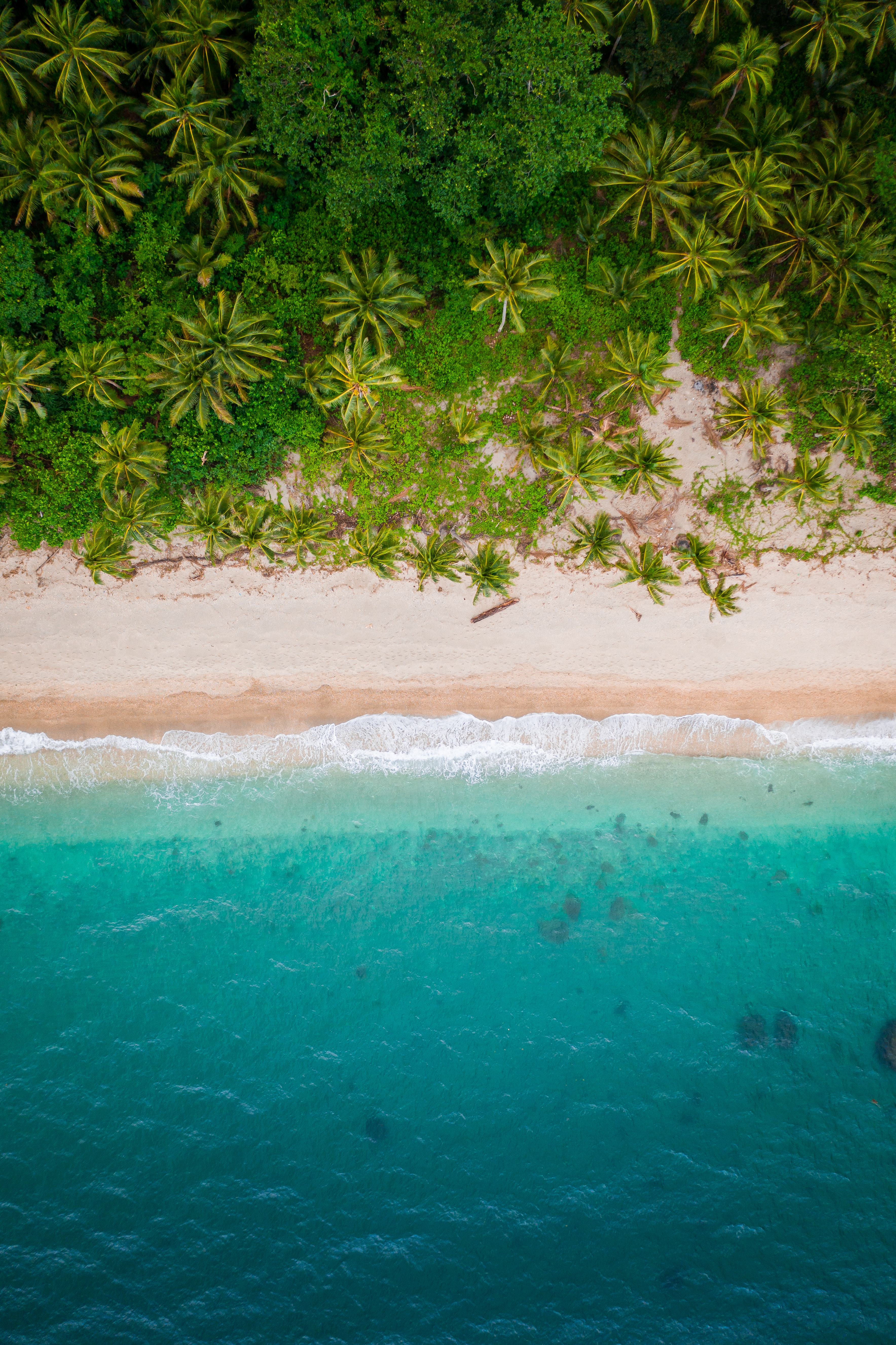 155812 завантажити шпалери берег, пальми, природа, пісок, пляж, вид зверху, банк - заставки і картинки безкоштовно