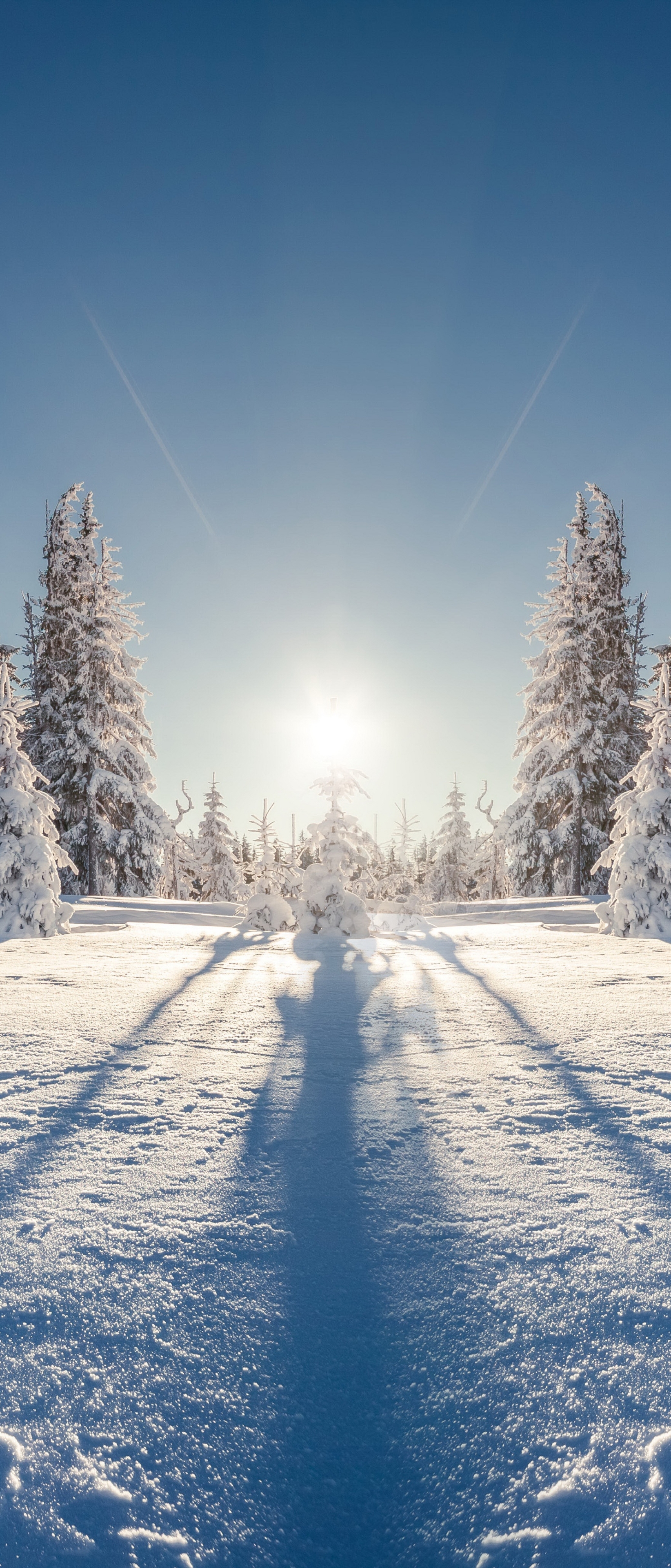 Download mobile wallpaper Winter, Nature, Sun, Snow, Earth for free.