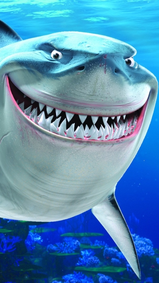Baixar papel de parede para celular de Filme, Tubarão, Procurando Nemo, Bruce (Procurando Nemo) gratuito.