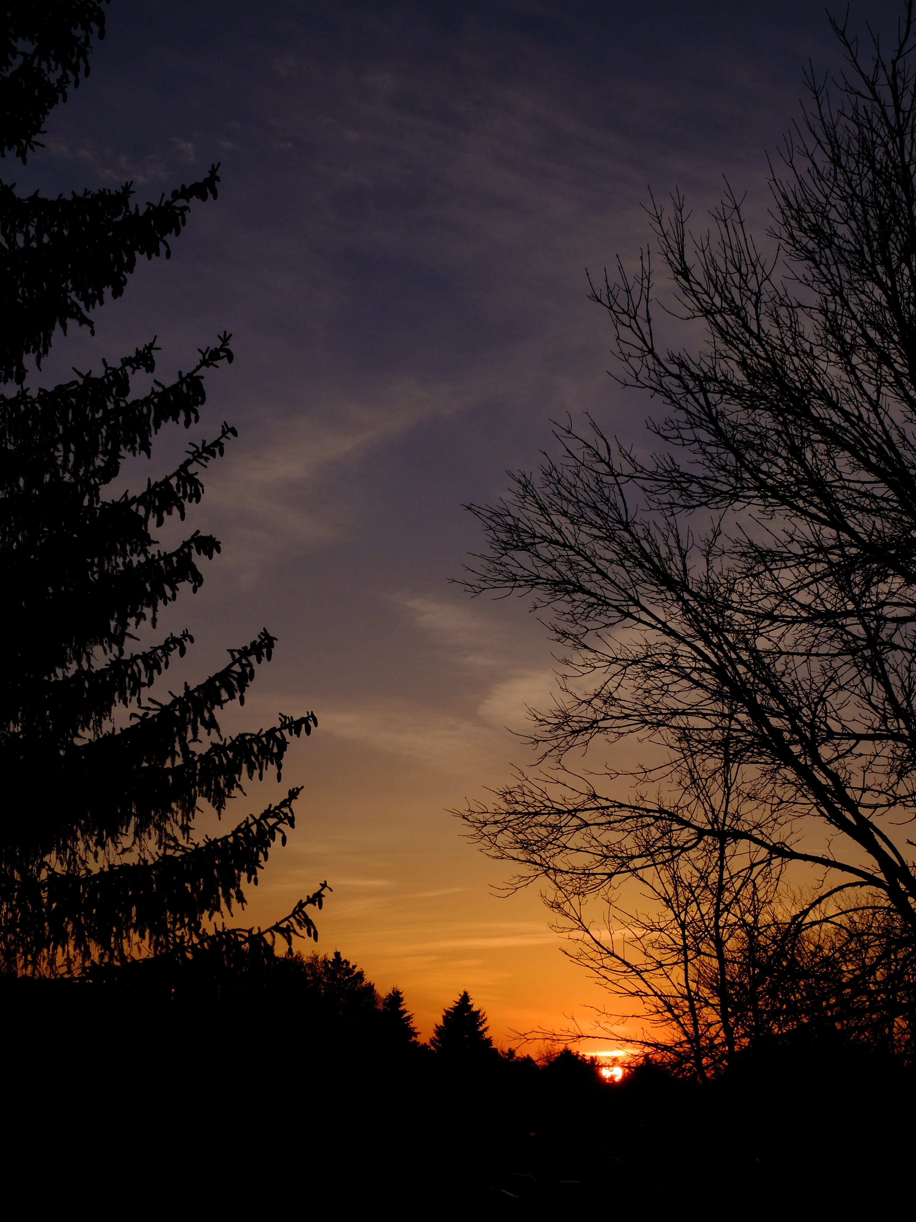Download mobile wallpaper Branches, Trees, Sky, Silhouette, Sunset, Dark for free.