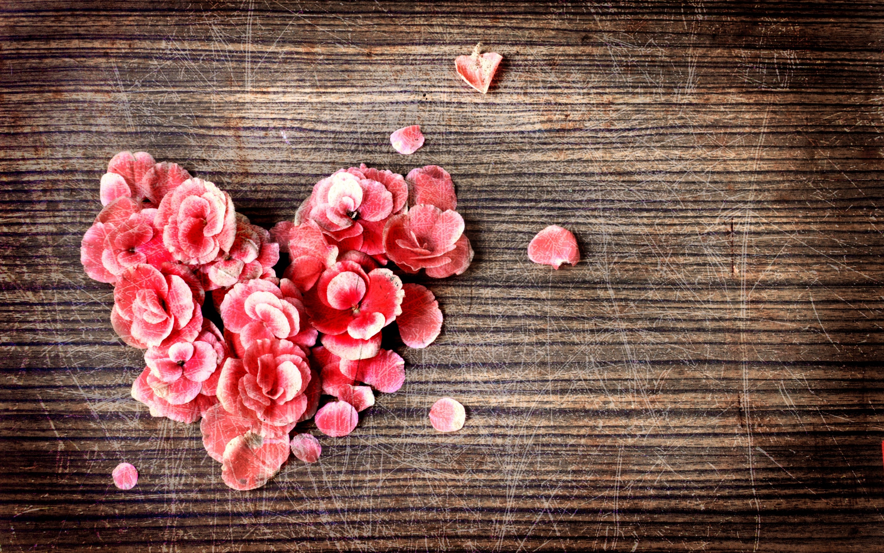 Free download wallpaper Rose, Heart, Artistic on your PC desktop