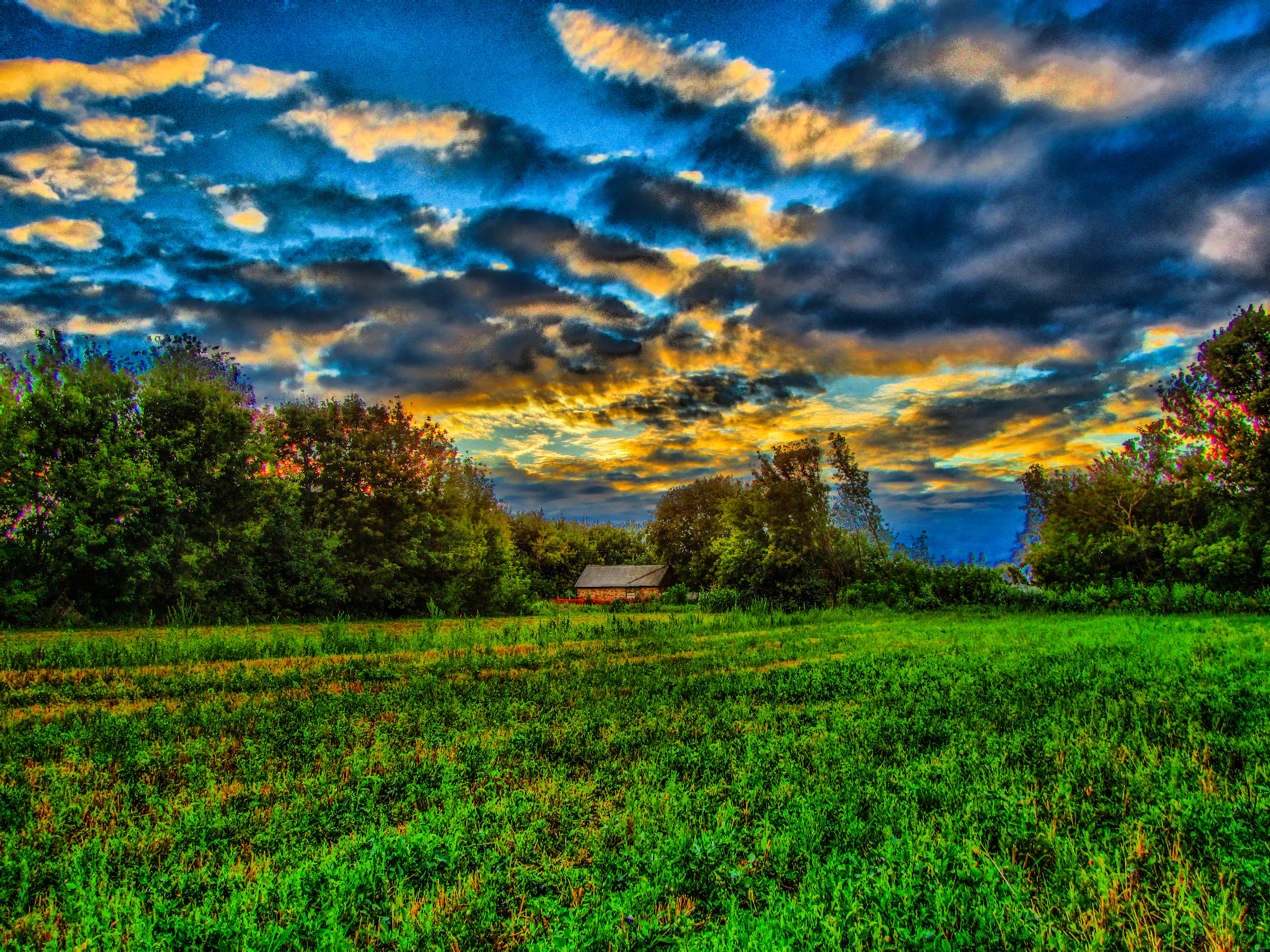 Descarga gratuita de fondo de pantalla para móvil de Paisaje, Cielo, Árbol, Nube, Fotografía.