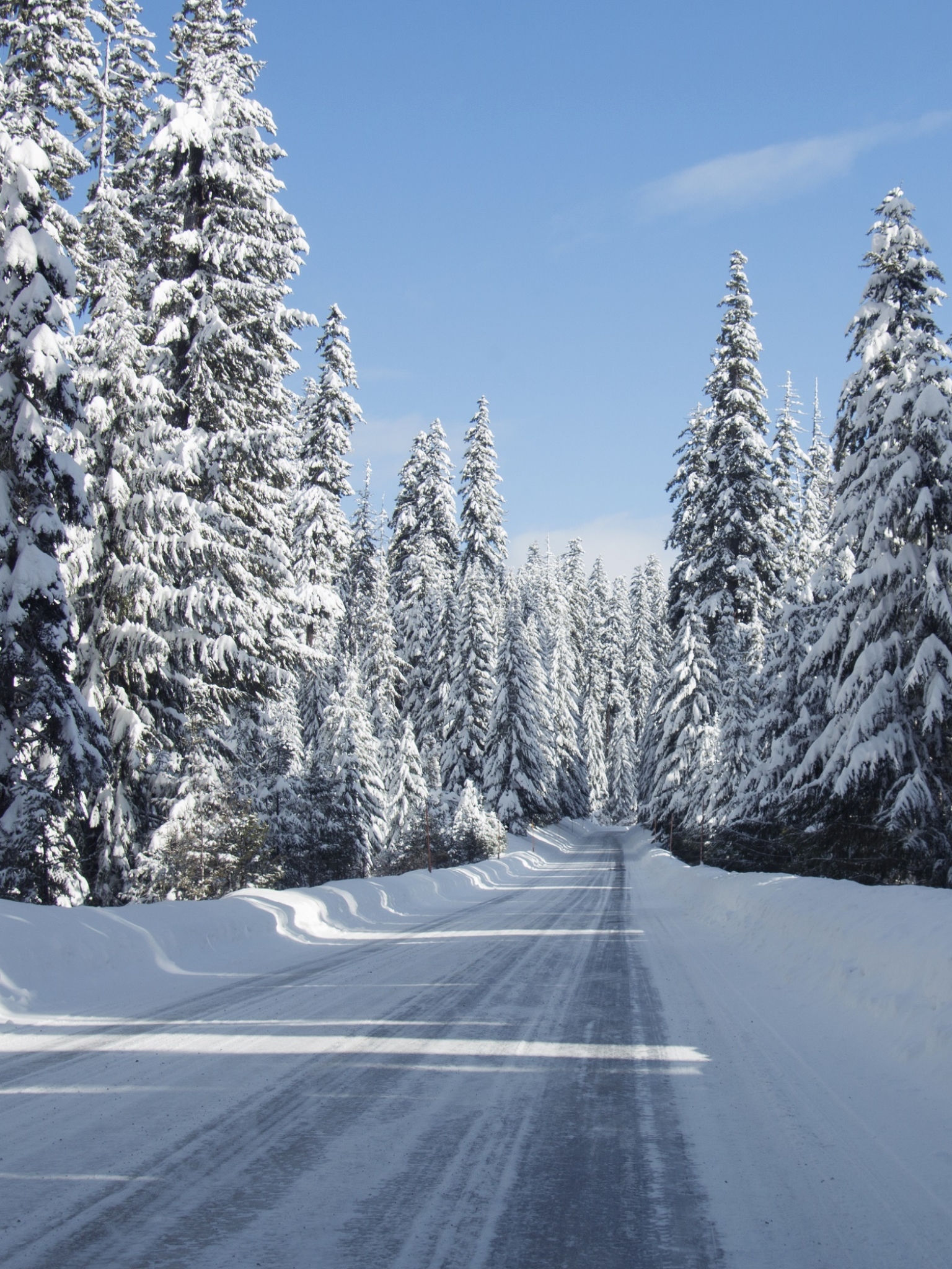 Téléchargez des papiers peints mobile Hiver, Route, Forêt, Etats Unis, Photographie, Neiger gratuitement.