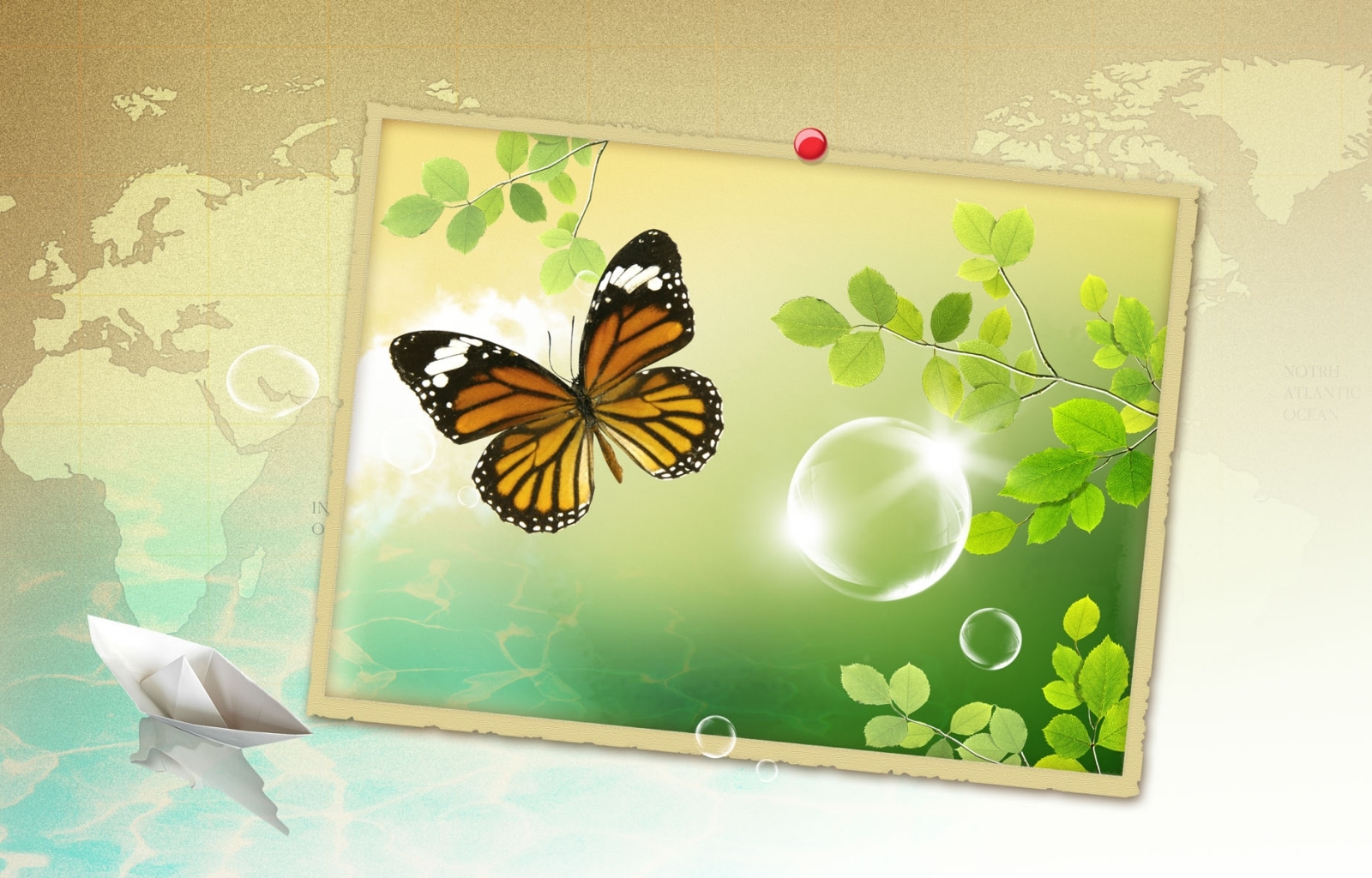 Free download wallpaper Pictures, Butterflies on your PC desktop
