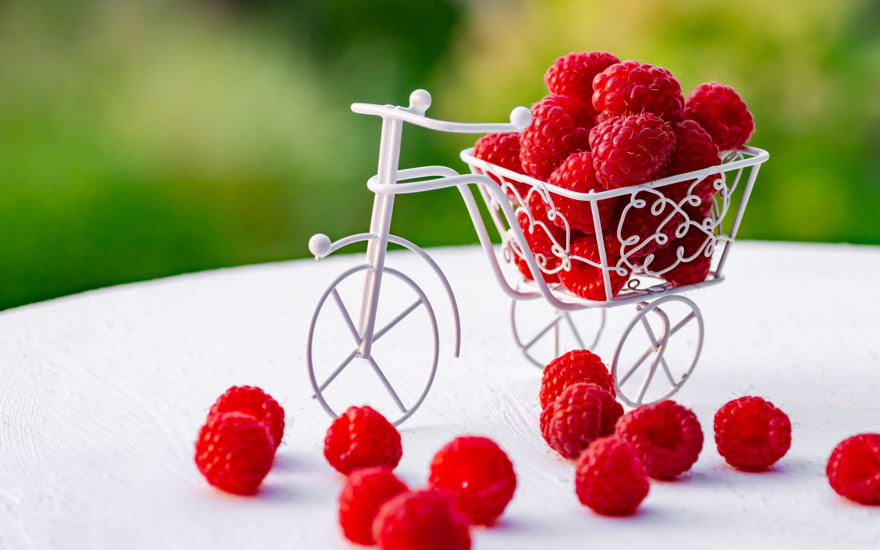 Download mobile wallpaper Fruits, Food, Raspberry, Berry, Bicycle for free.