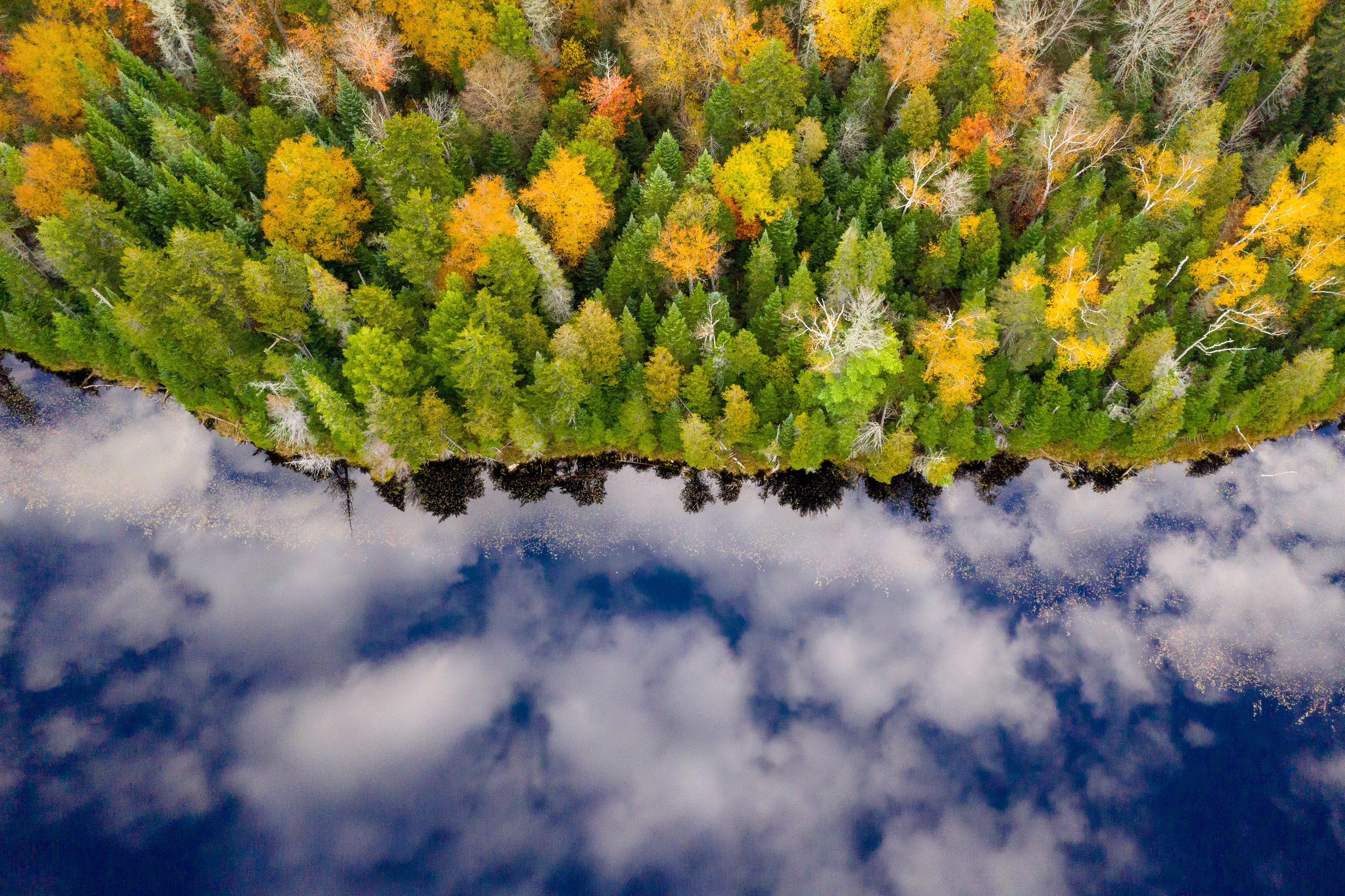 Download mobile wallpaper Reflection, Forest, Fall, Cloud, River, Photography, Aerial for free.