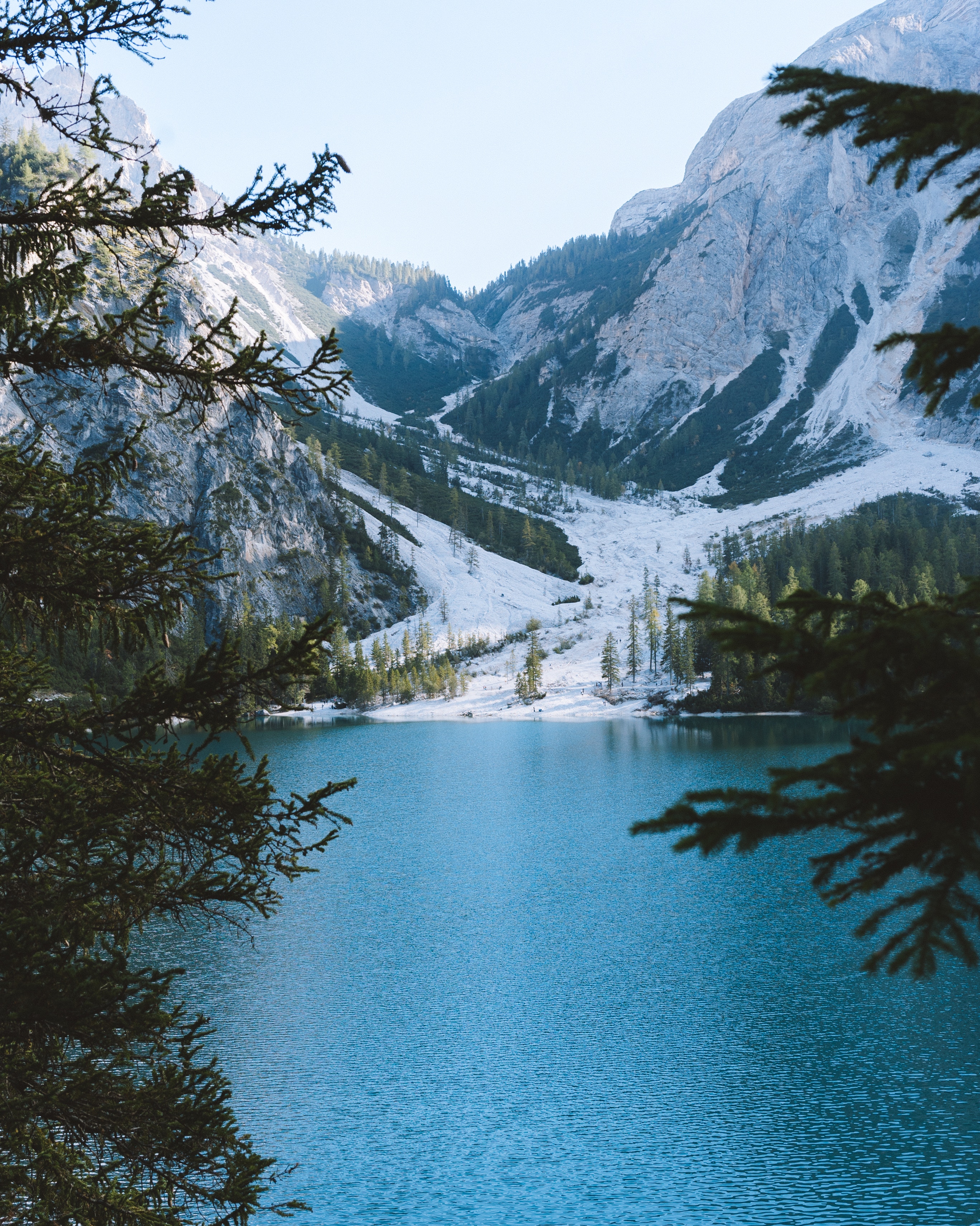Download mobile wallpaper Branches, Mountains, Nature, Lake, Landscape, Italy for free.