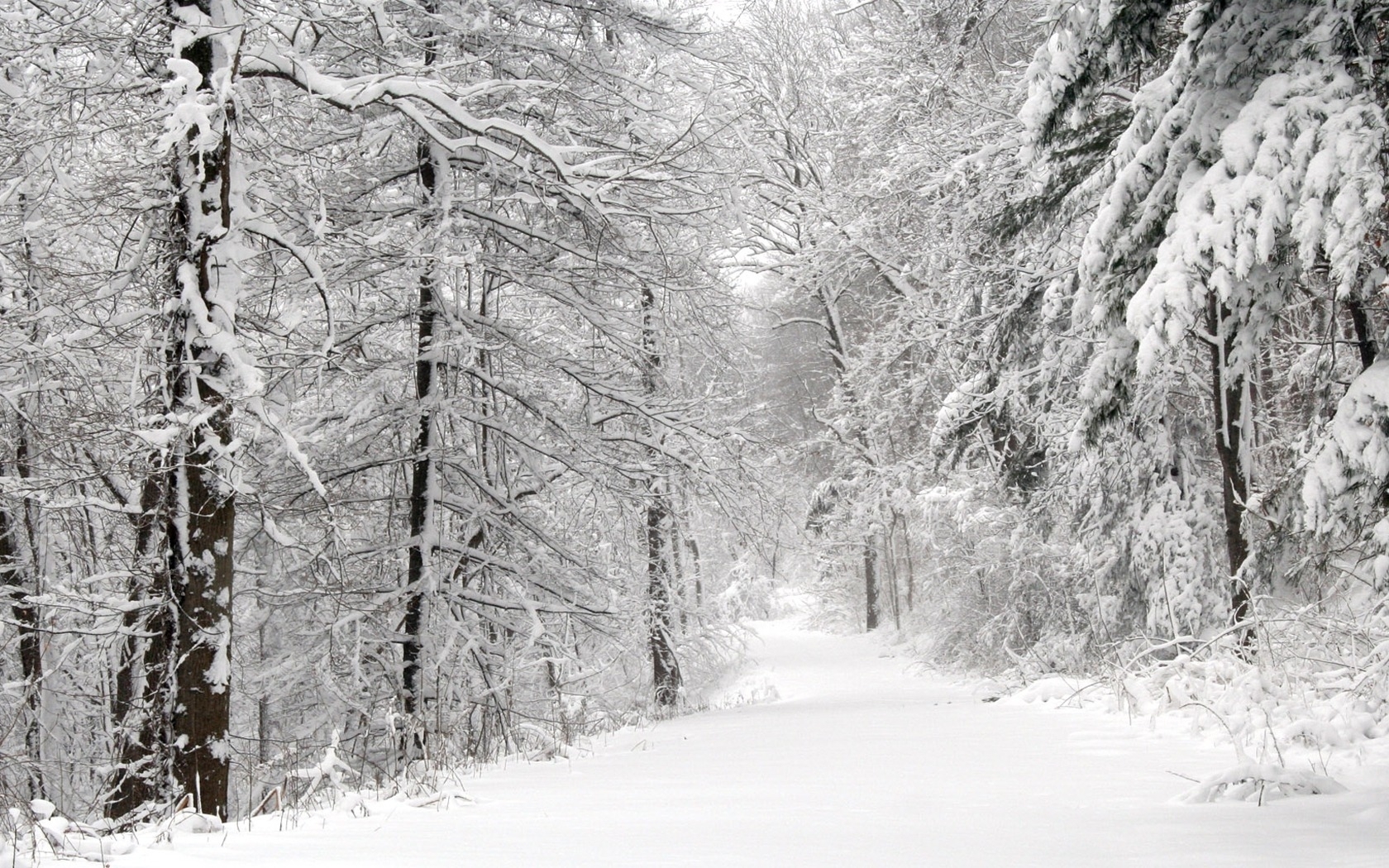 Скачати мобільні шпалери Дерева, Сніг, Пейзаж, Природа, Зима, Дороги, Ялинки безкоштовно.