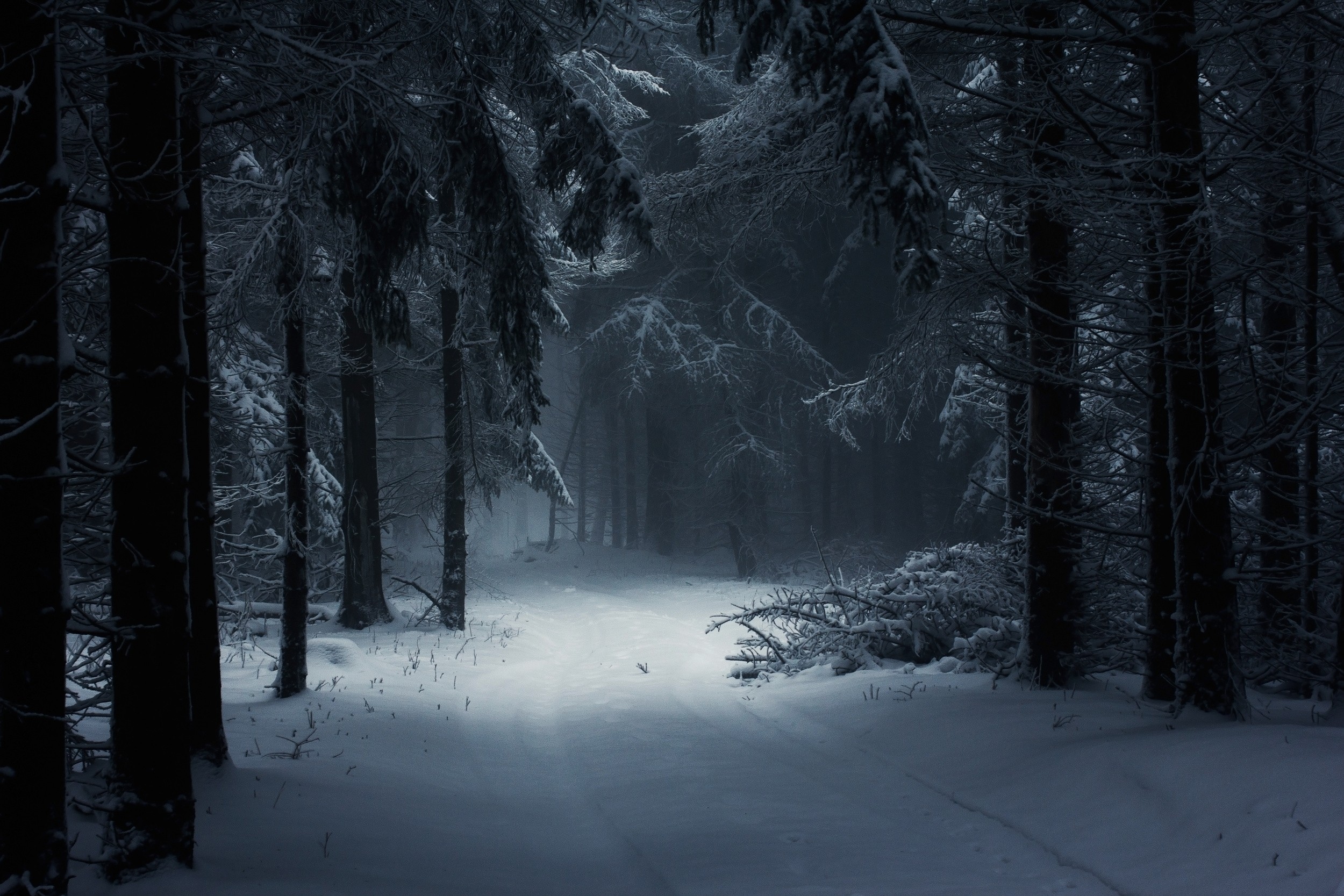 Скачать картинку Зима, Дорога, Лес, Земля/природа в телефон бесплатно.