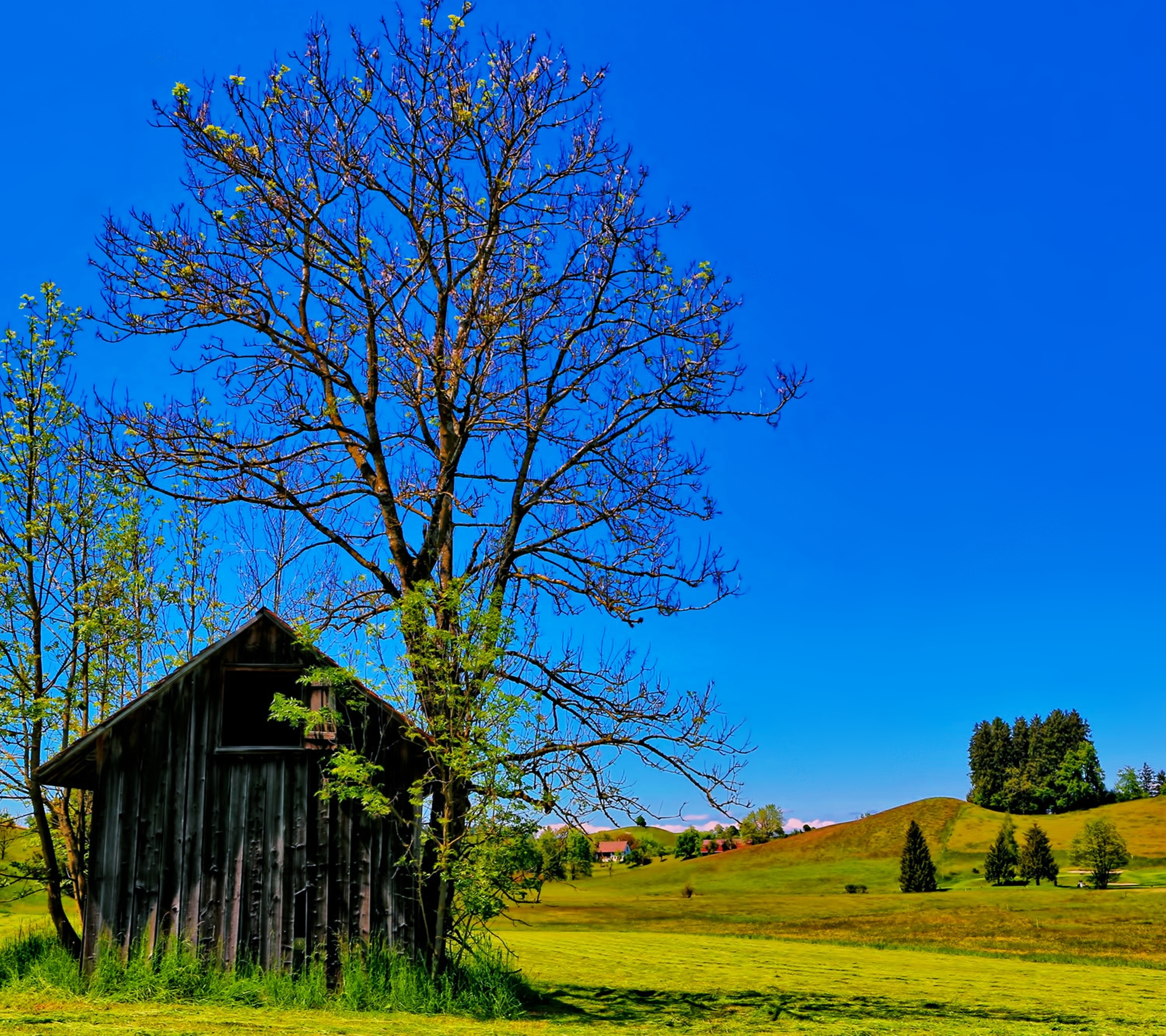 Free download wallpaper Landscape, Nature, Tree, Earth, Hill, Photography, Countryside on your PC desktop
