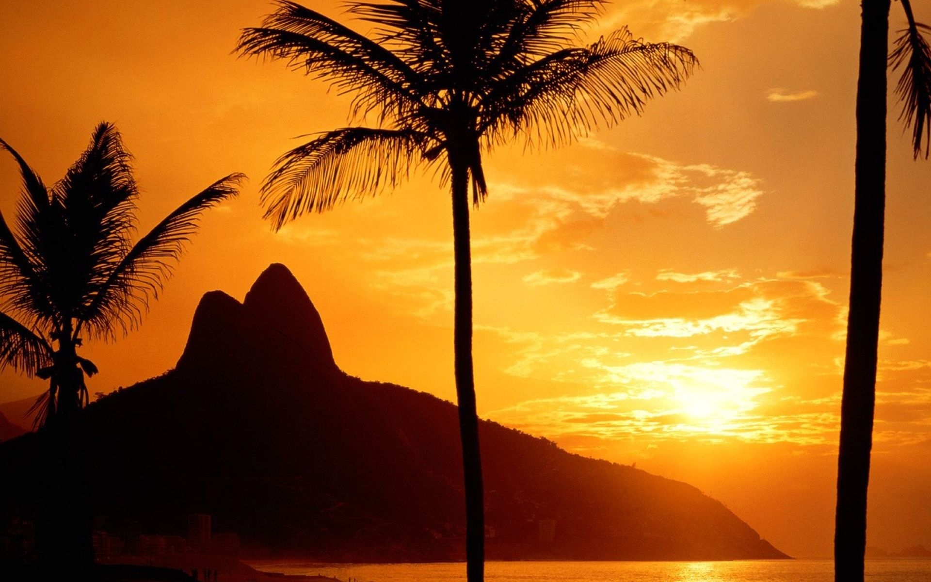 Free download wallpaper Sunset, Palms, Landscape on your PC desktop