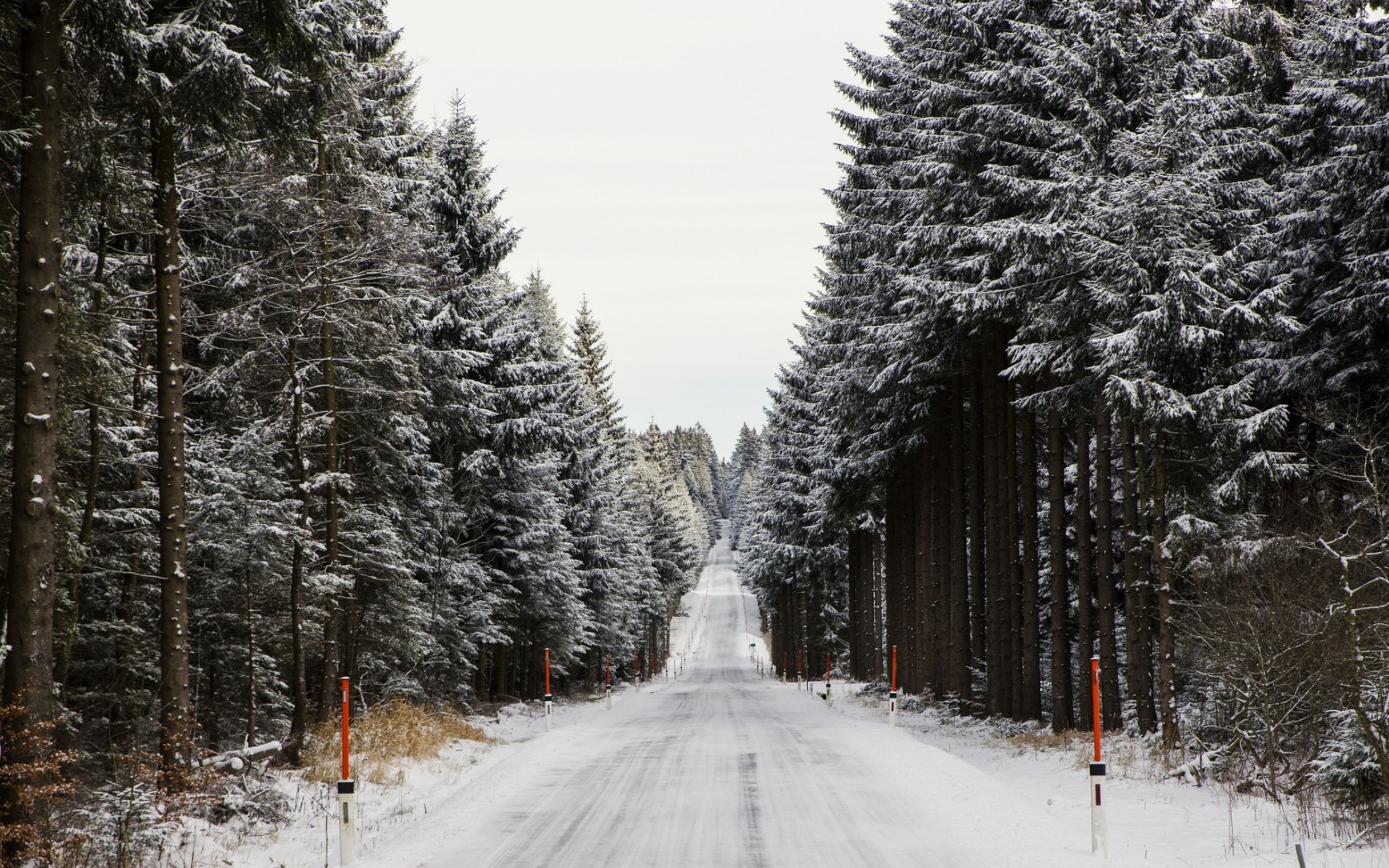 Baixar papel de parede para celular de Inverno, Natureza, Neve, Estrada, Floresta, Feito Pelo Homem gratuito.