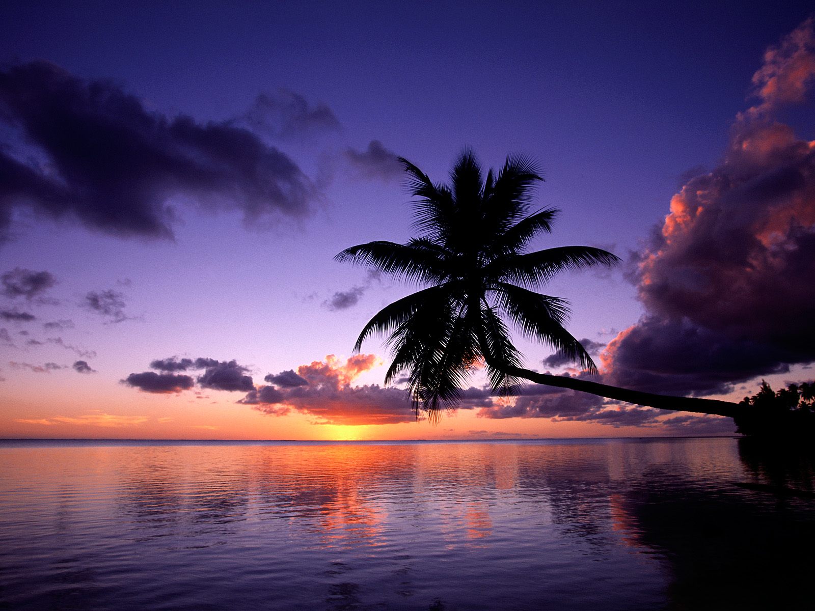 1075770 завантажити картинку море, пальма, світанок, земля, пляжний, хмара - шпалери і заставки безкоштовно