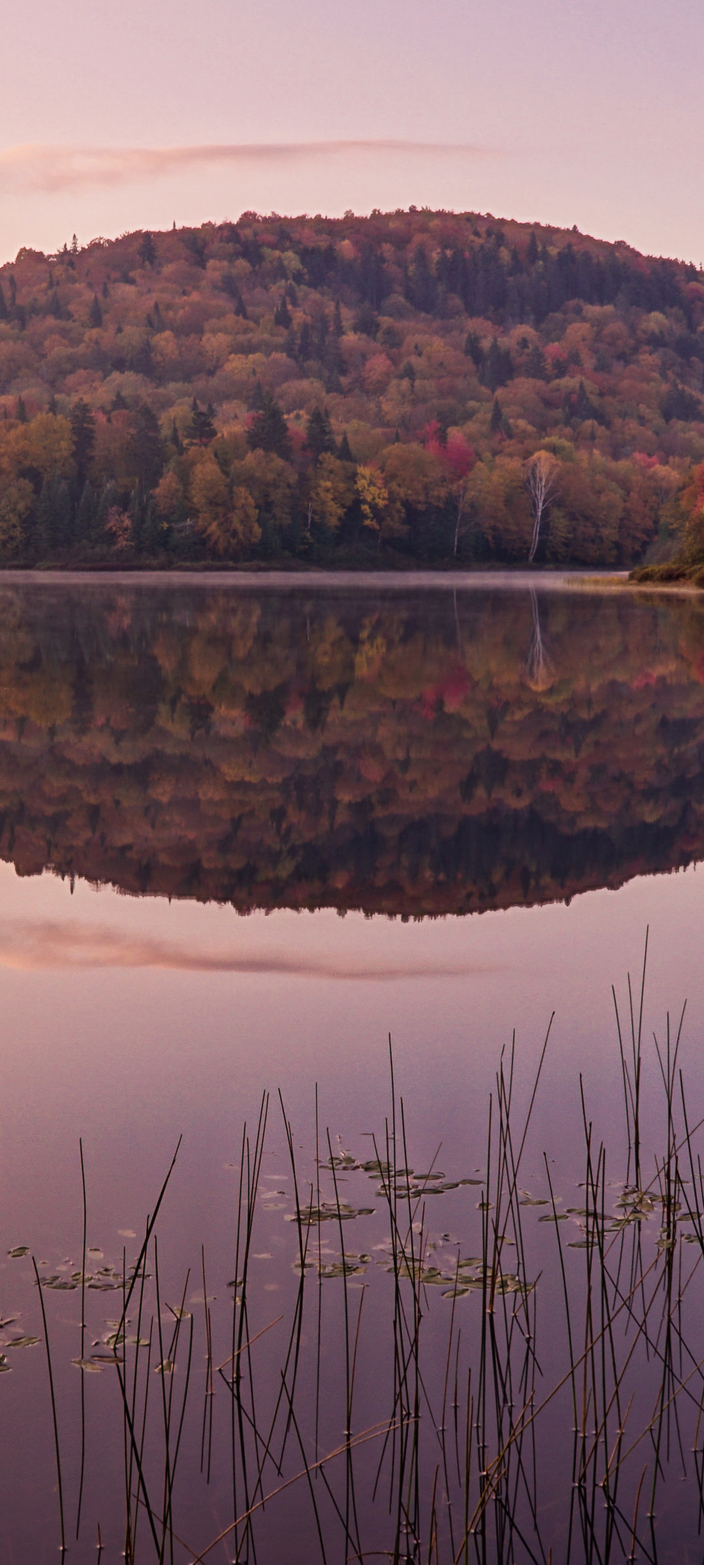 Téléchargez des papiers peints mobile Lac, Réflexion, Des Lacs, Québec, Terre/nature, Réflection gratuitement.