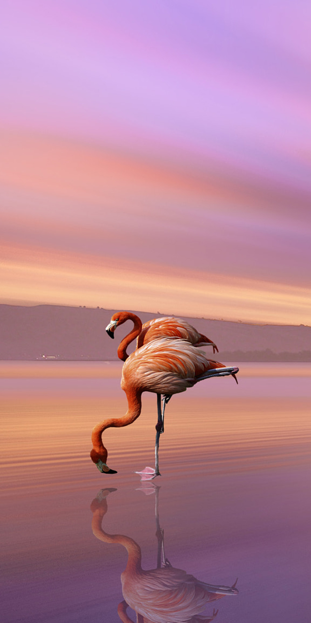 Handy-Wallpaper Tiere, Vögel, Strand, Flamingo, Vogel, Sonnenuntergang, Spiegelung, Betrachtung kostenlos herunterladen.