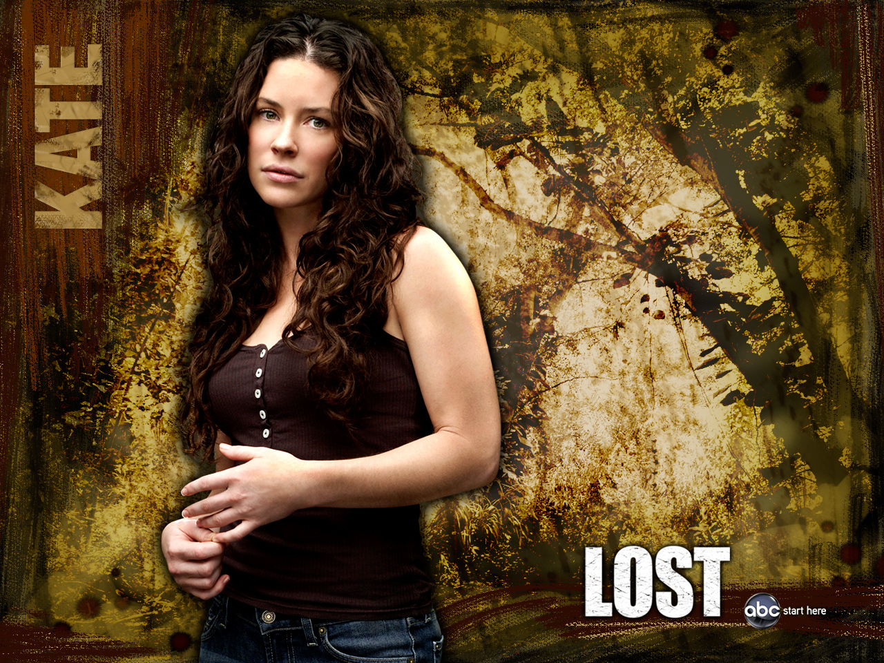 tv show, lost (tv show), lost