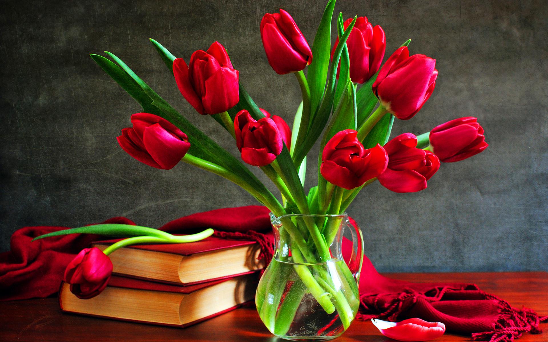 Laden Sie das Krug, Buch, Tulpe, Fotografie, Schal, Rote Blume, Stillleben-Bild kostenlos auf Ihren PC-Desktop herunter