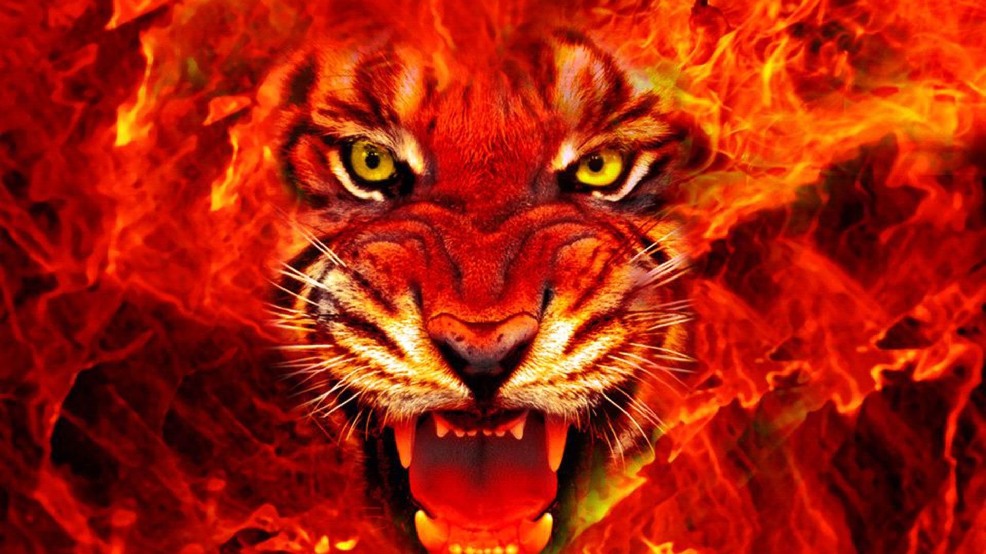 Download mobile wallpaper Cats, Fire, Tiger, Animal for free.