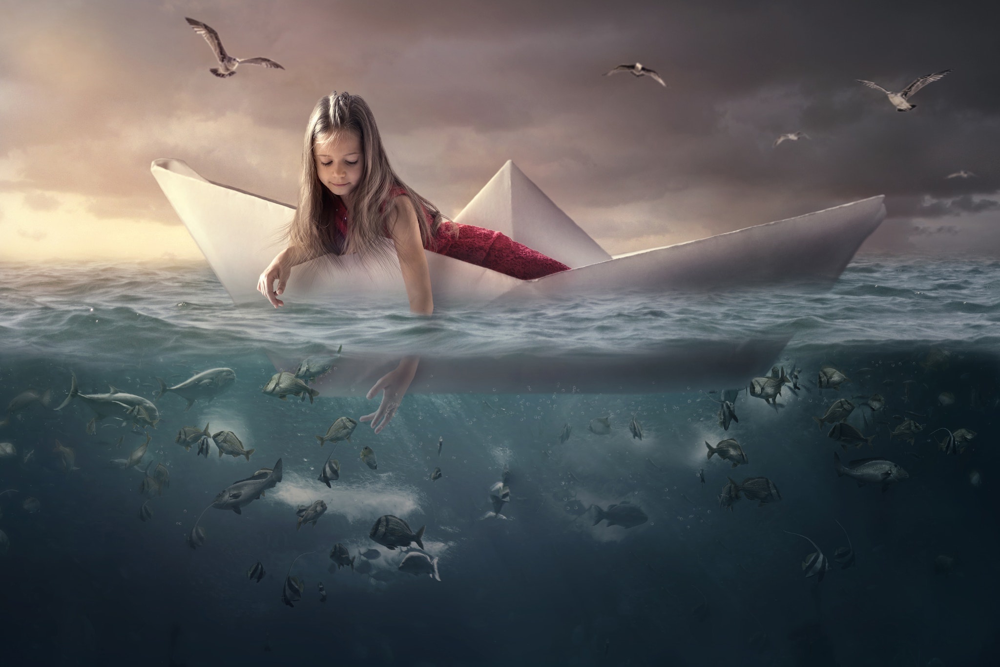 photography, manipulation, fish, ocean, paper boat, seagull, underwater