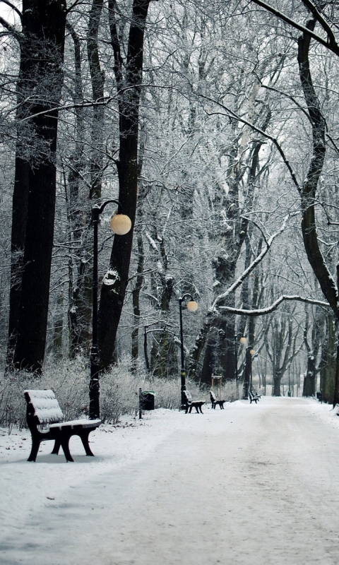 Скачати мобільні шпалери Зима, Фотографія безкоштовно.