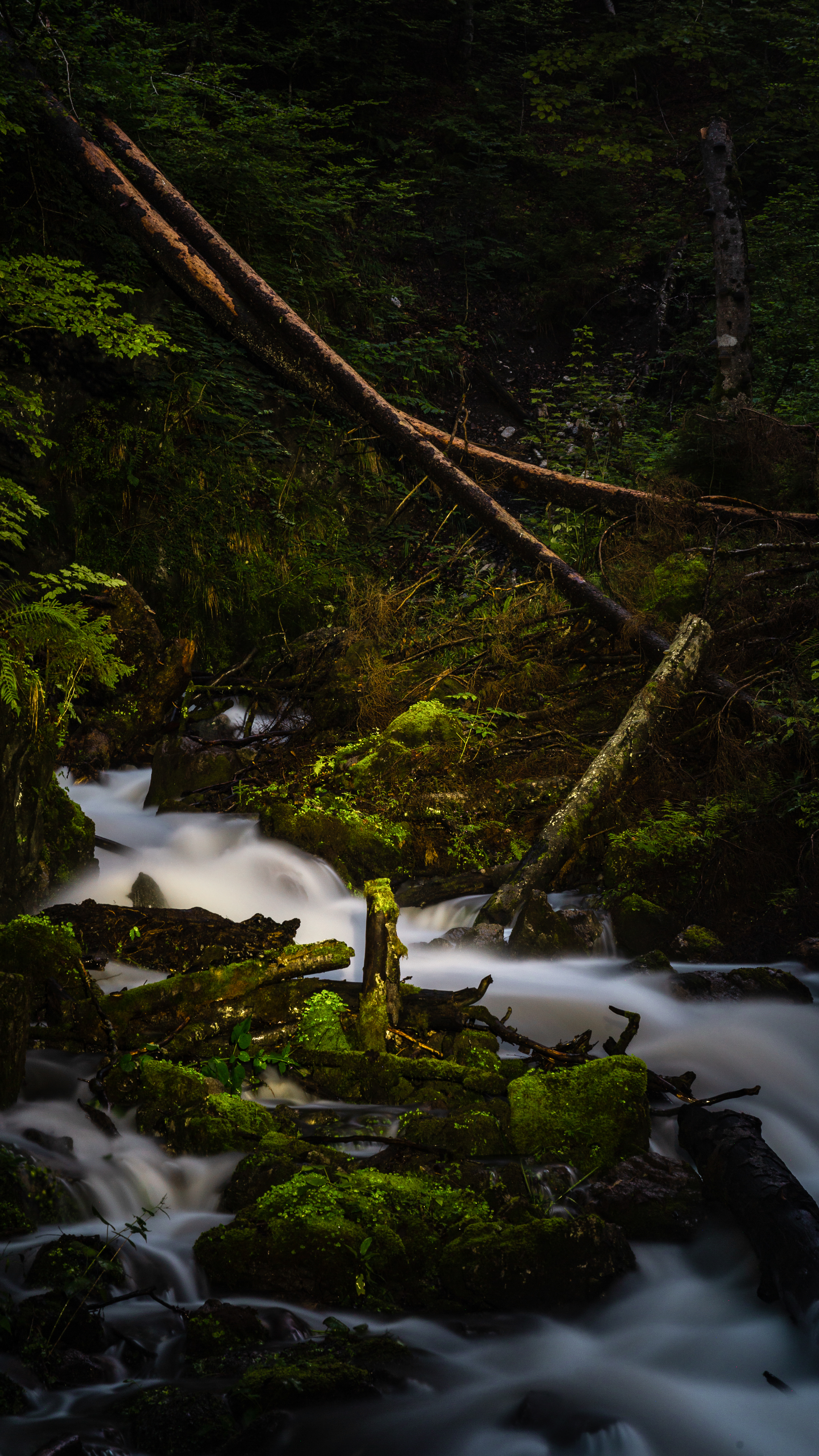 moss, nature, rivers, stones, branches, flow, stream Smartphone Background