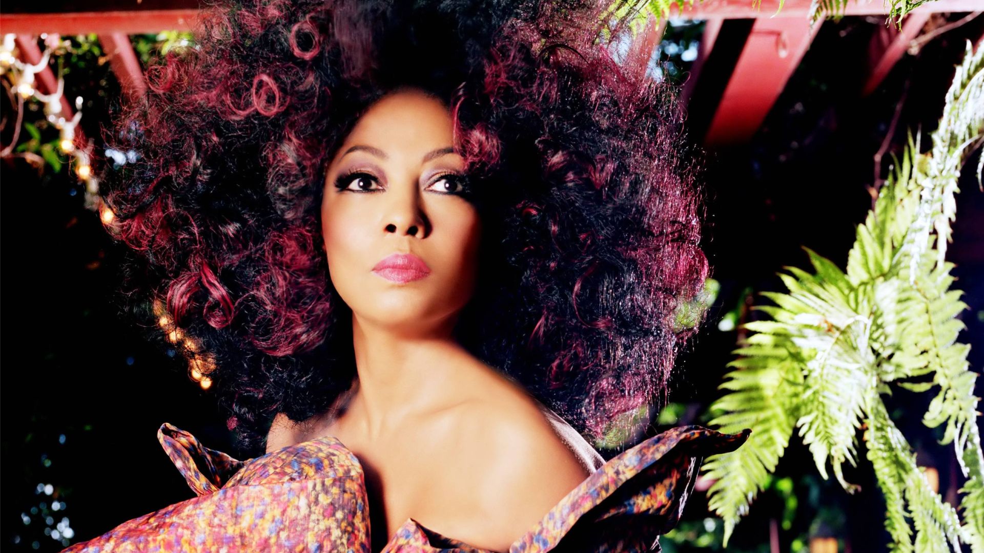 Laden Sie Diana Ross HD-Desktop-Hintergründe herunter