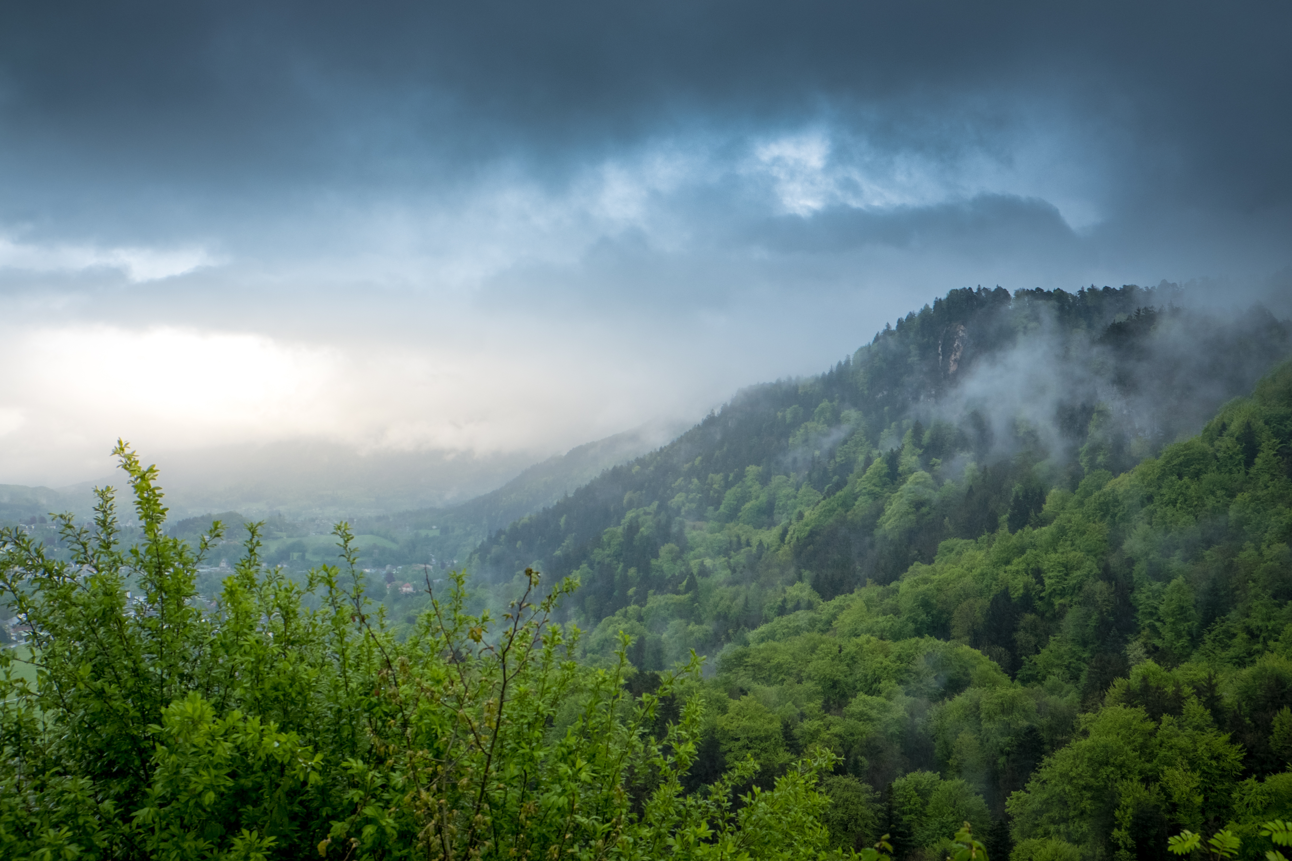 Laden Sie das Natur, Bäume, Bush, Nebel, Hügel, Hill, Sky-Bild kostenlos auf Ihren PC-Desktop herunter