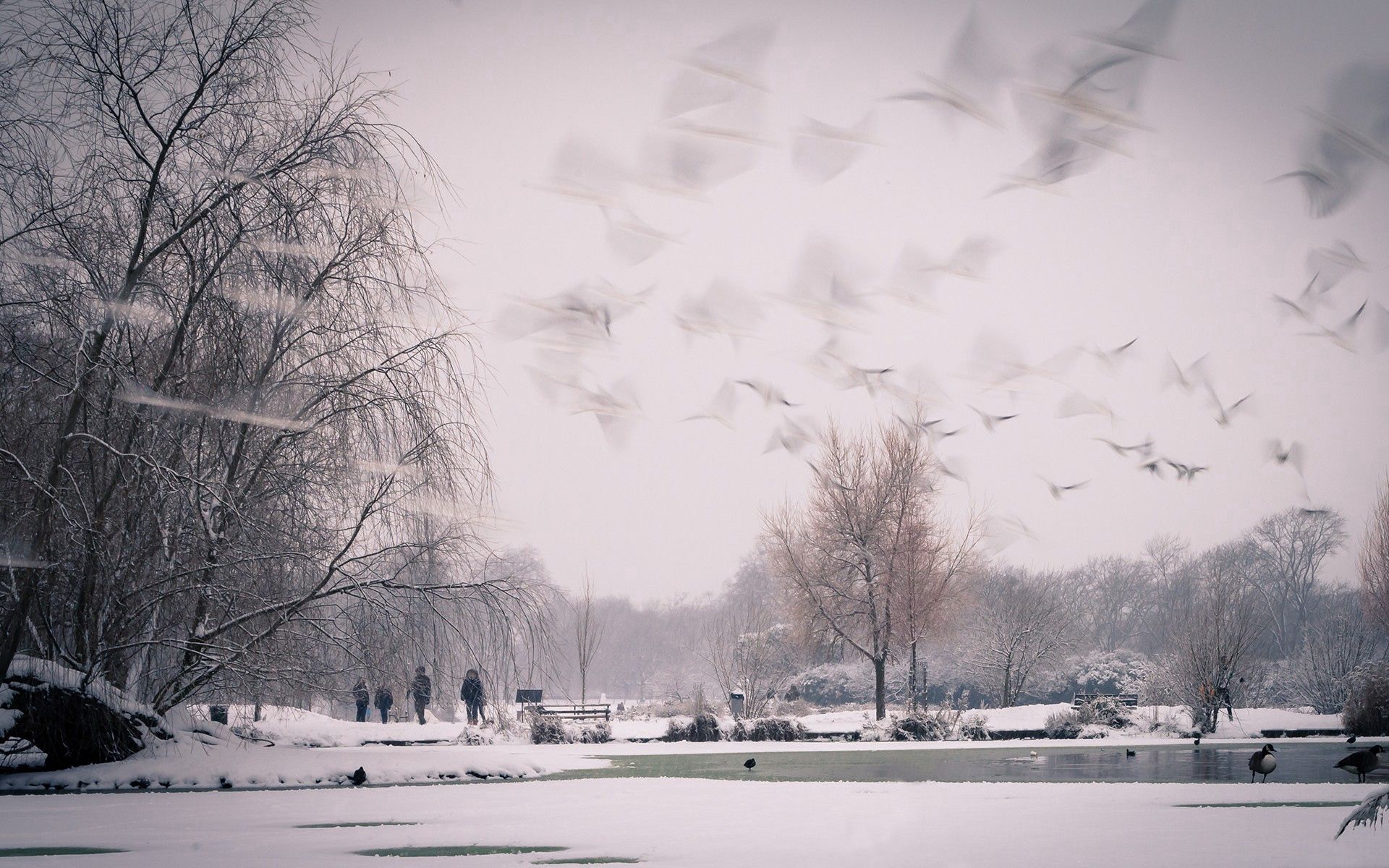 Descarga gratuita de fondo de pantalla para móvil de Nieve, Cielo, Naturaleza.