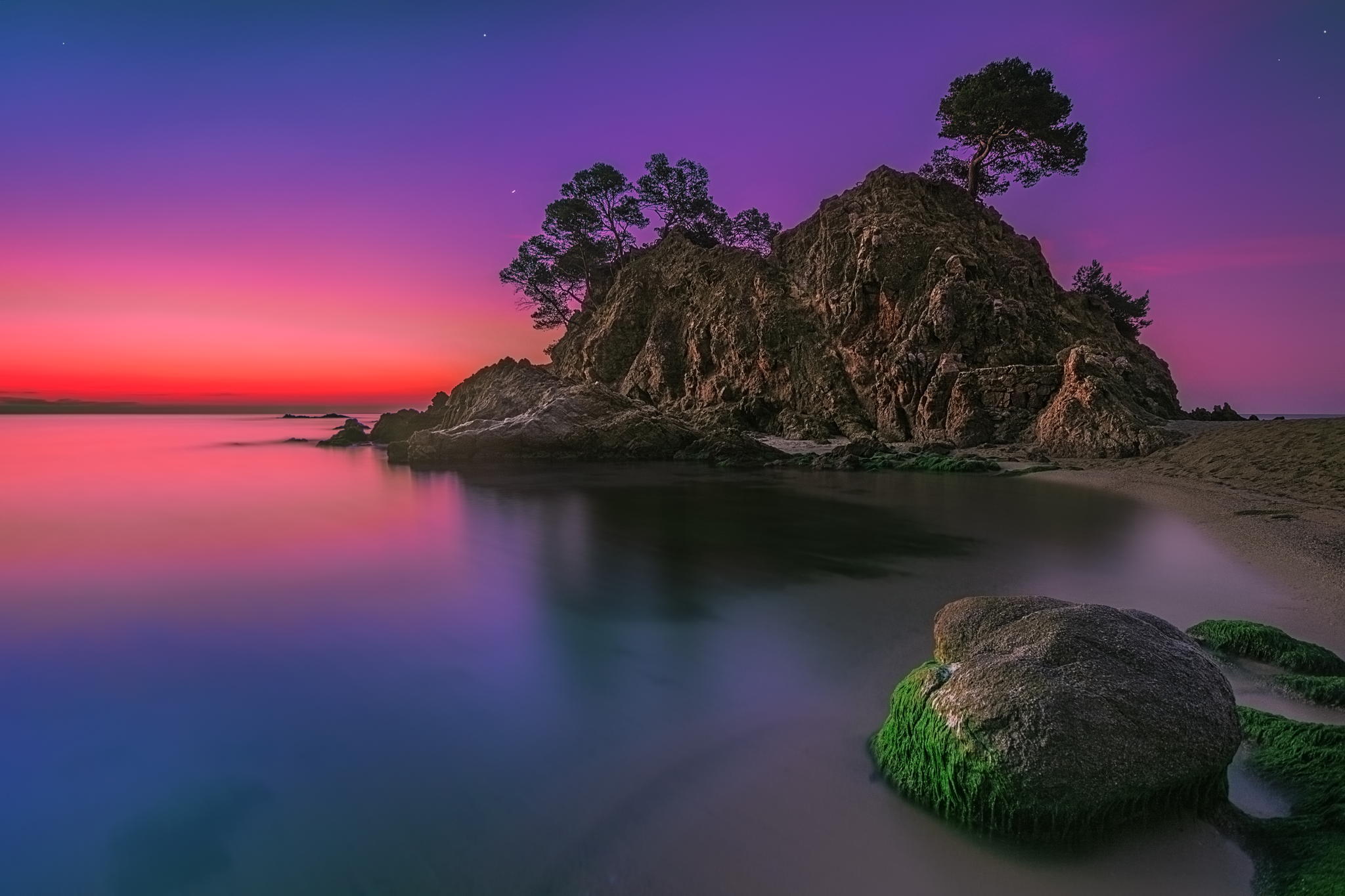 Descarga gratis la imagen Naturaleza, Cielo, Rosa, Playa, Árbol, Océano, Púrpura, Atardecer, Tierra/naturaleza en el escritorio de tu PC