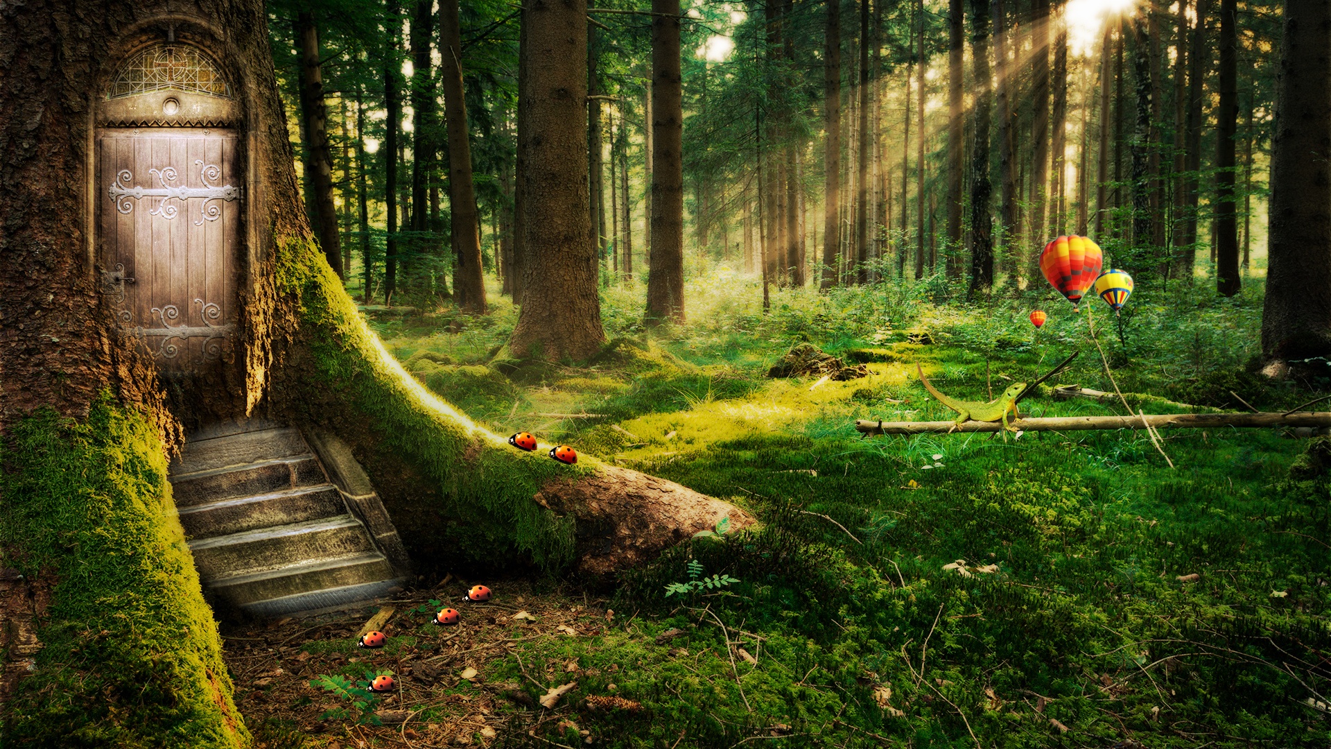 Free download wallpaper Fantasy, Forest, Tree, Sunbeam on your PC desktop