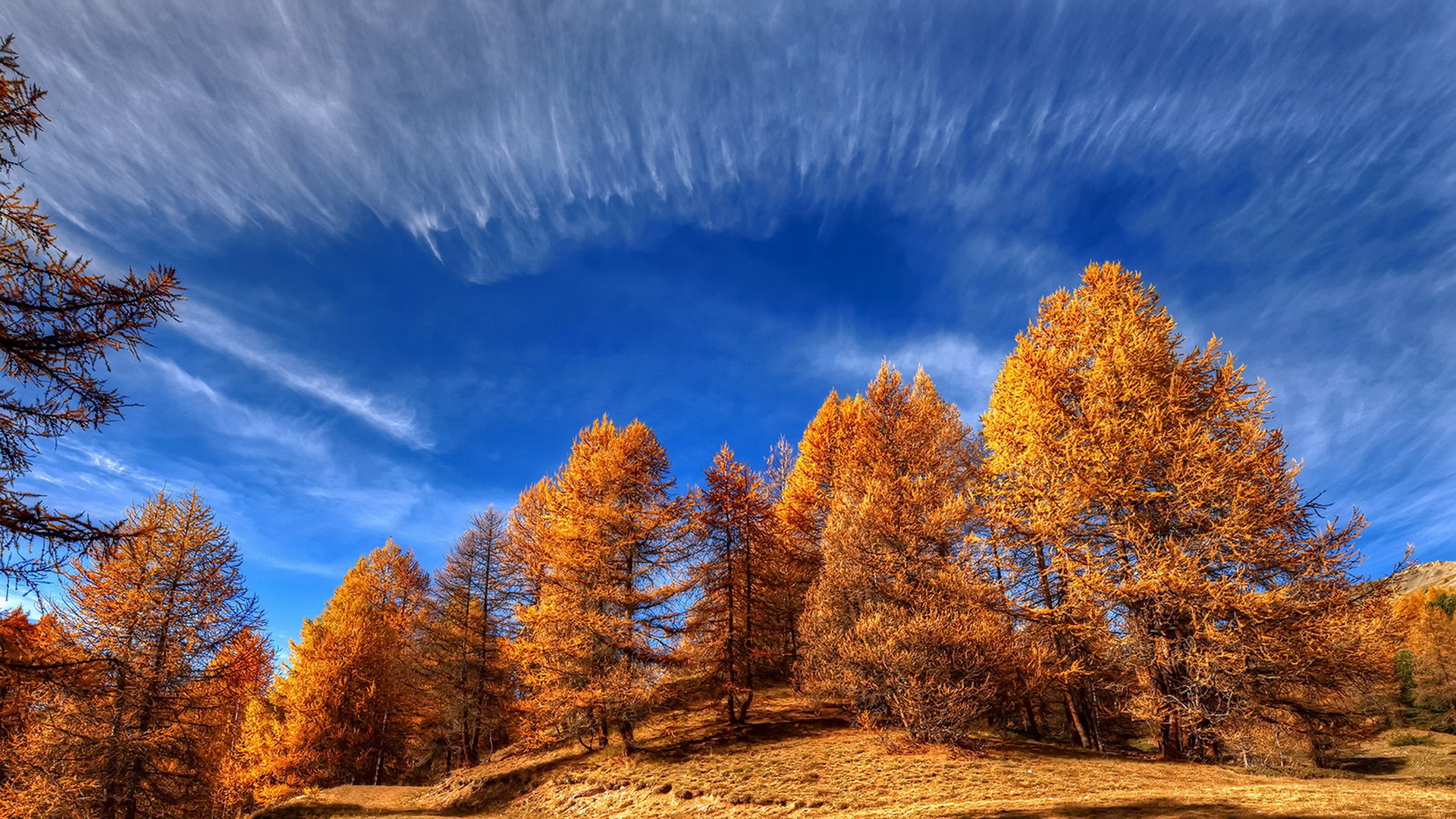 Free download wallpaper Nature, Sky, Tree, Fall, Earth, Cloud on your PC desktop