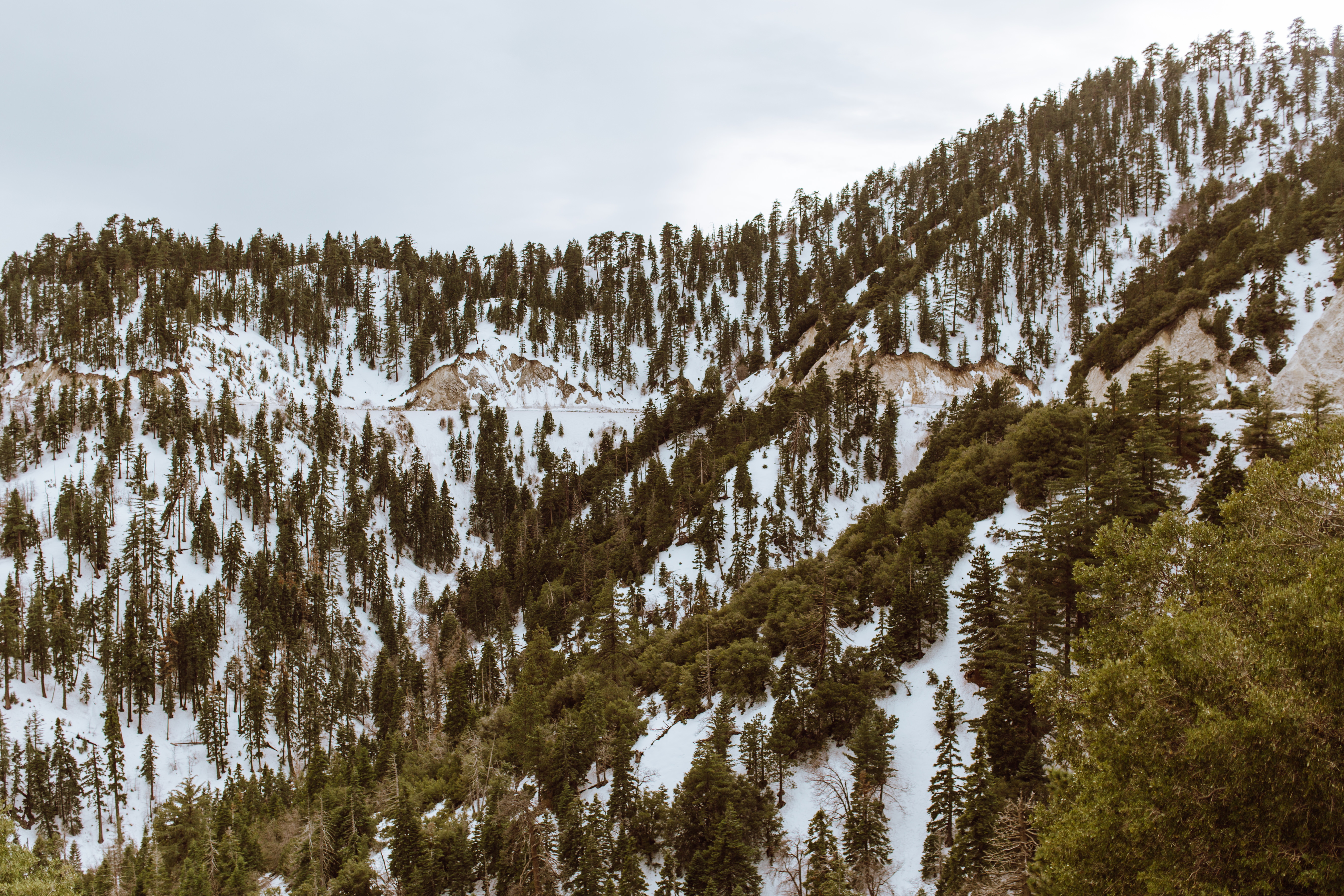 Скачать картинку Снег, Деревья, Вершины, Природа, Горы в телефон бесплатно.