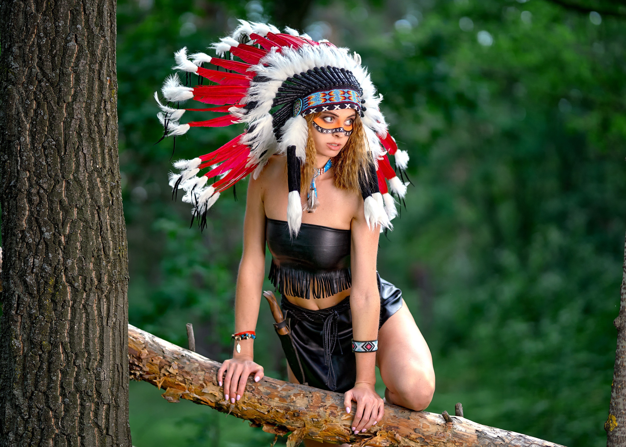 Free download wallpaper Model, Women, Headdress, Native American on your PC desktop