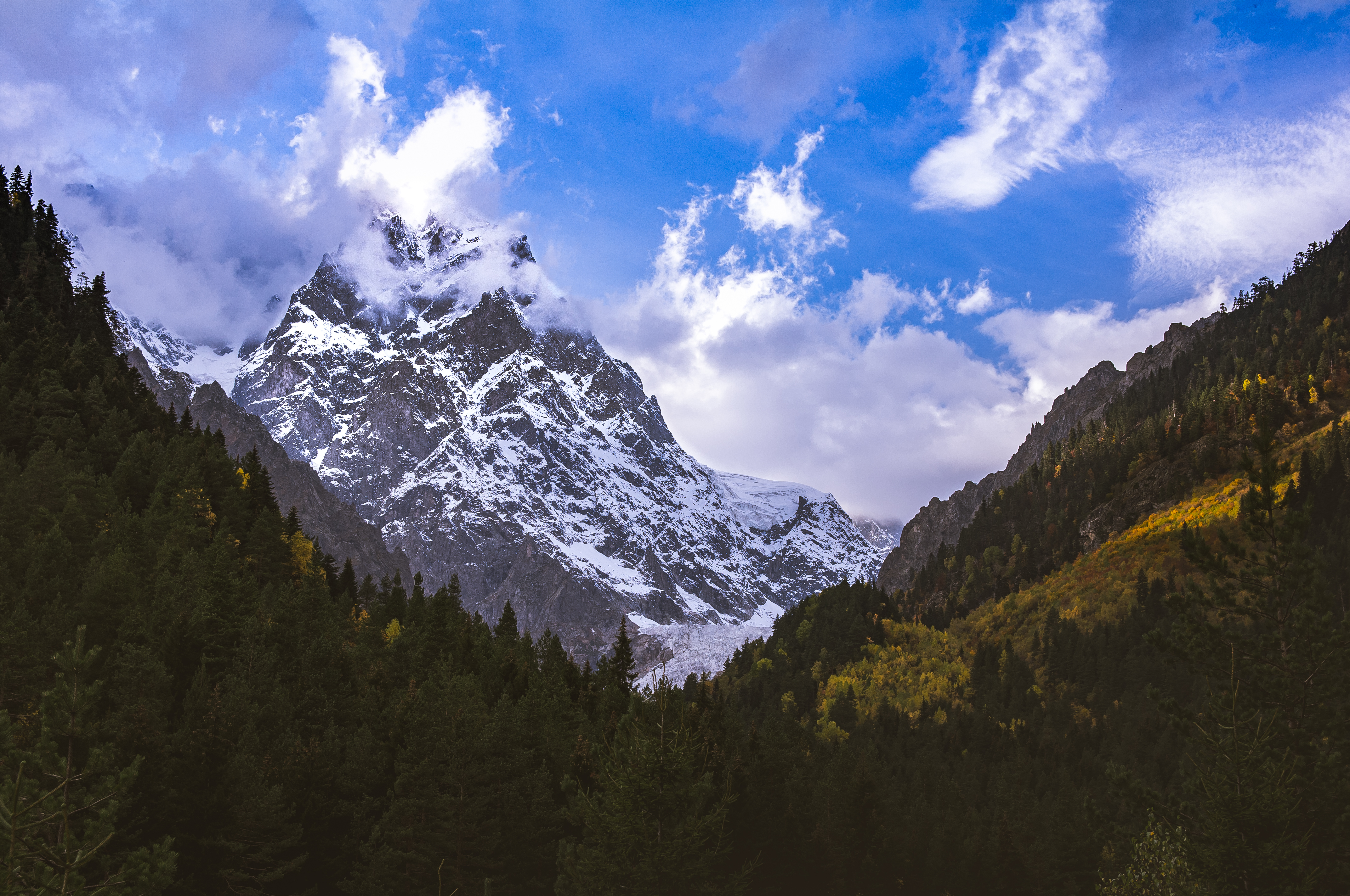Descarga gratis la imagen Naturaleza, Montañas, Tops, Cubierto De Nieve, Nevado, Cuesta, Pendiente, Árboles, Nieve, Vértice en el escritorio de tu PC