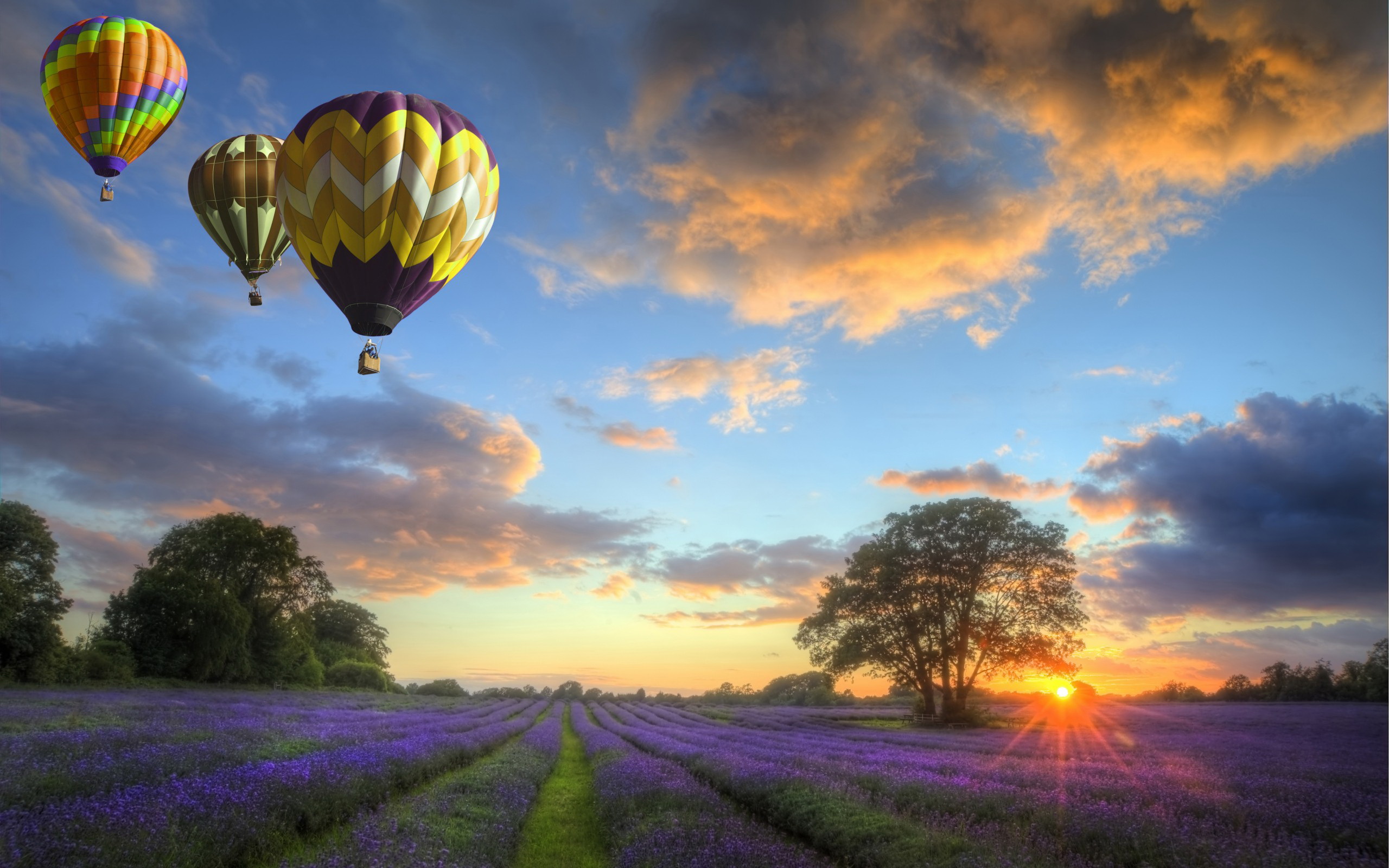 Download mobile wallpaper Vehicles, Hot Air Balloon for free.