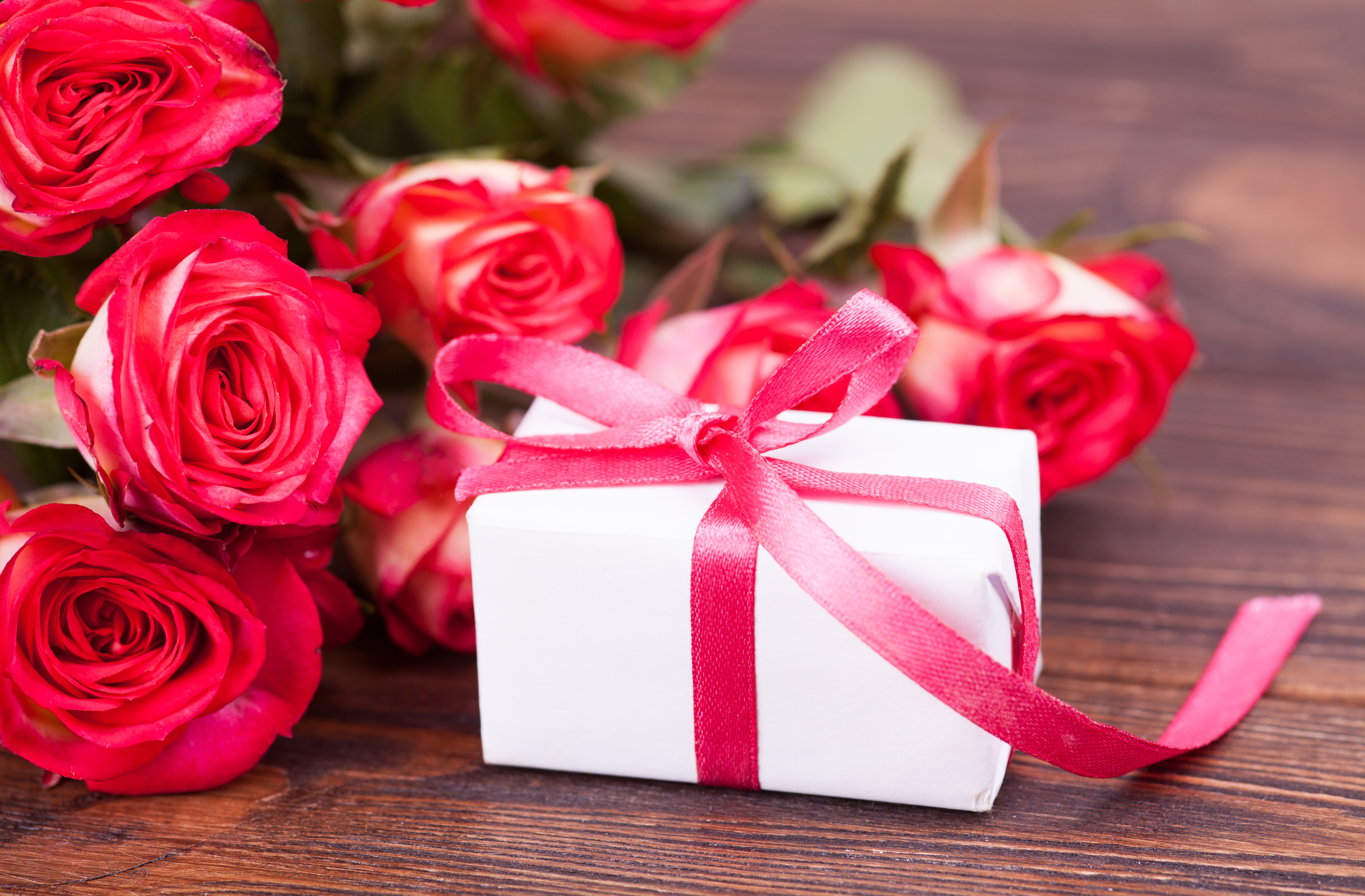 Download mobile wallpaper Flower, Rose, Gift, Red Flower, Misc for free.