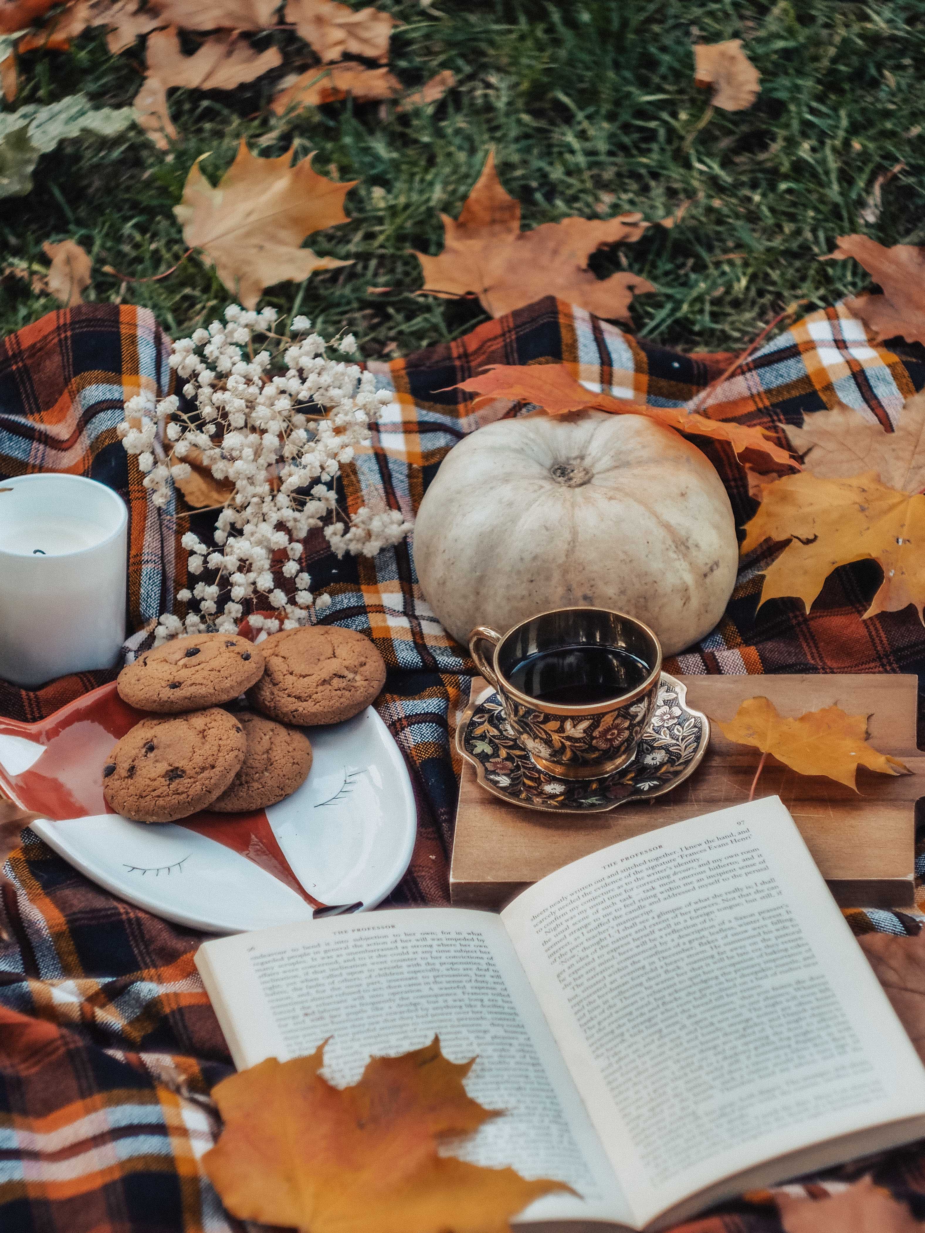 tea, pumpkin, autumn, leaves, cookies, miscellanea, miscellaneous, book