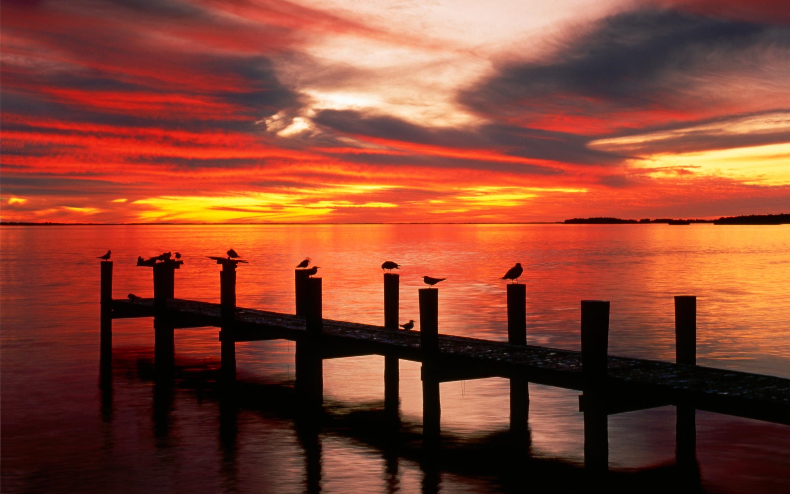 Download mobile wallpaper Sunset, Pier, Silhouette, Bird, Earth for free.