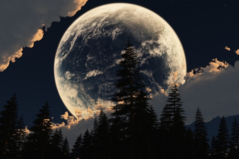 Descarga gratuita de fondo de pantalla para móvil de Cielo, Luna, Bosque, Árbol, Nube, Tierra/naturaleza.