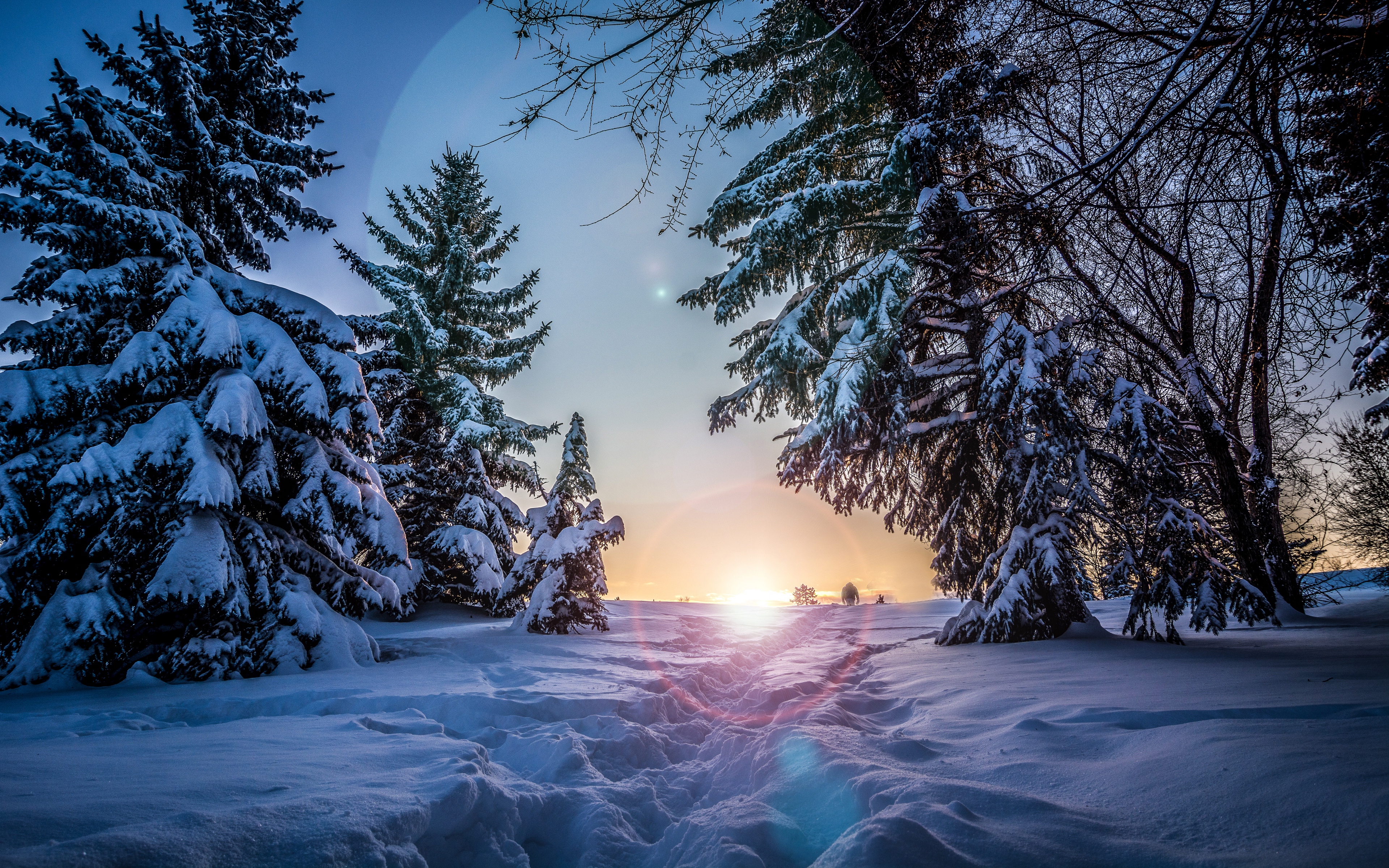 Baixe gratuitamente a imagem Inverno, Pôr Do Sol, Neve, Terra/natureza na área de trabalho do seu PC
