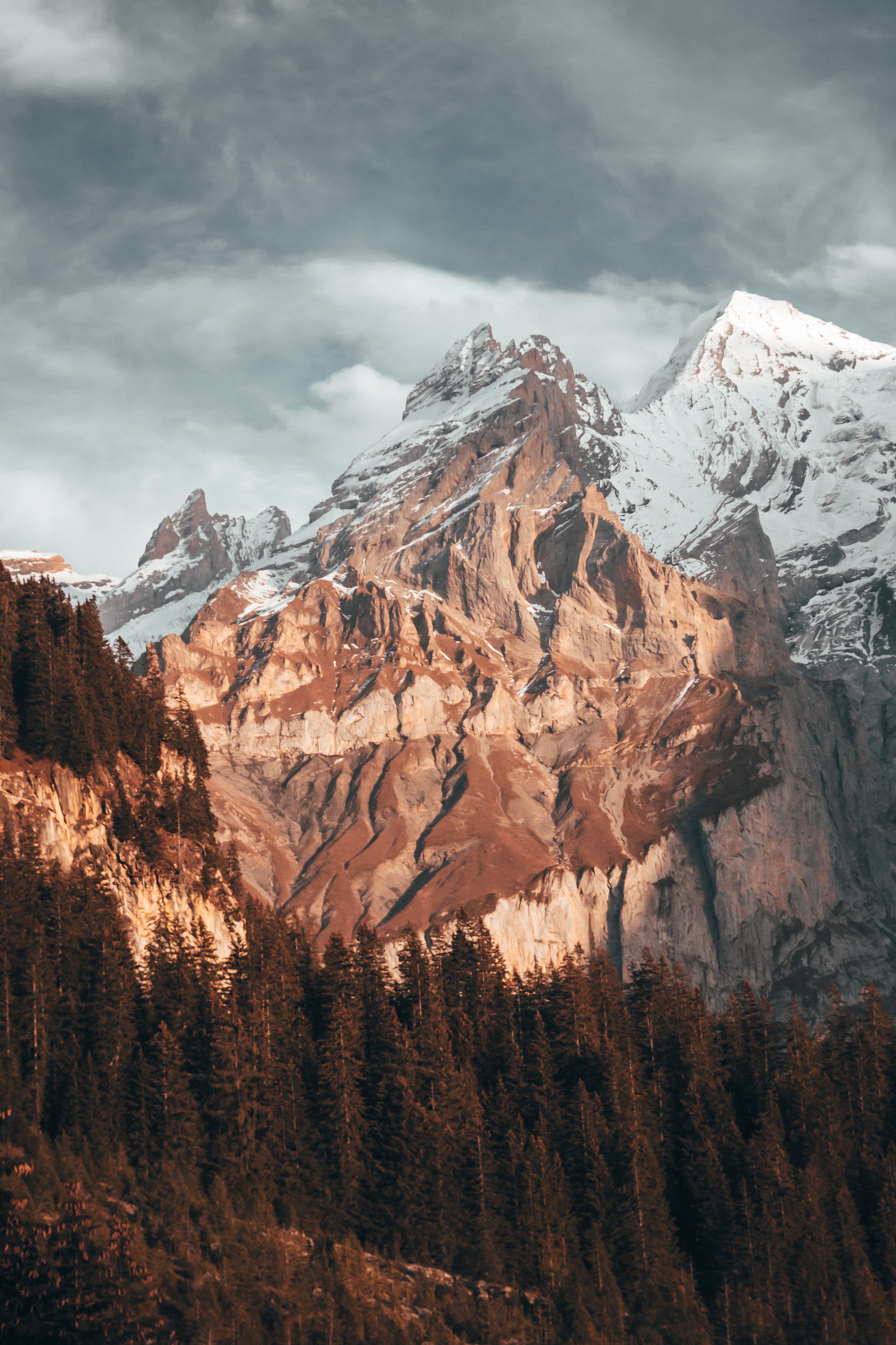 Free download wallpaper Trees, Snow, Mountain, Vertex, Top, Nature on your PC desktop