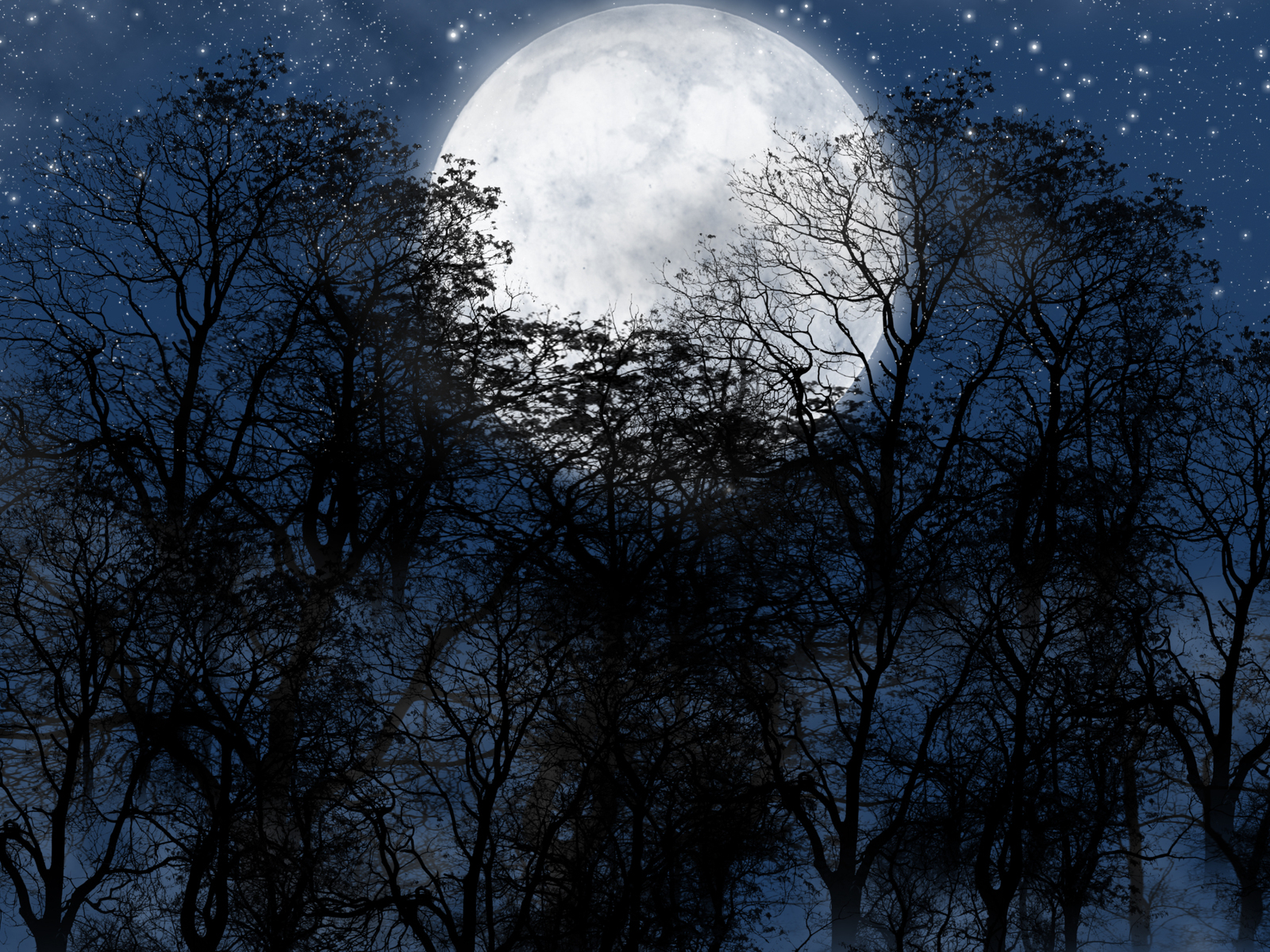 Download mobile wallpaper Landscape, Night, Moon for free.
