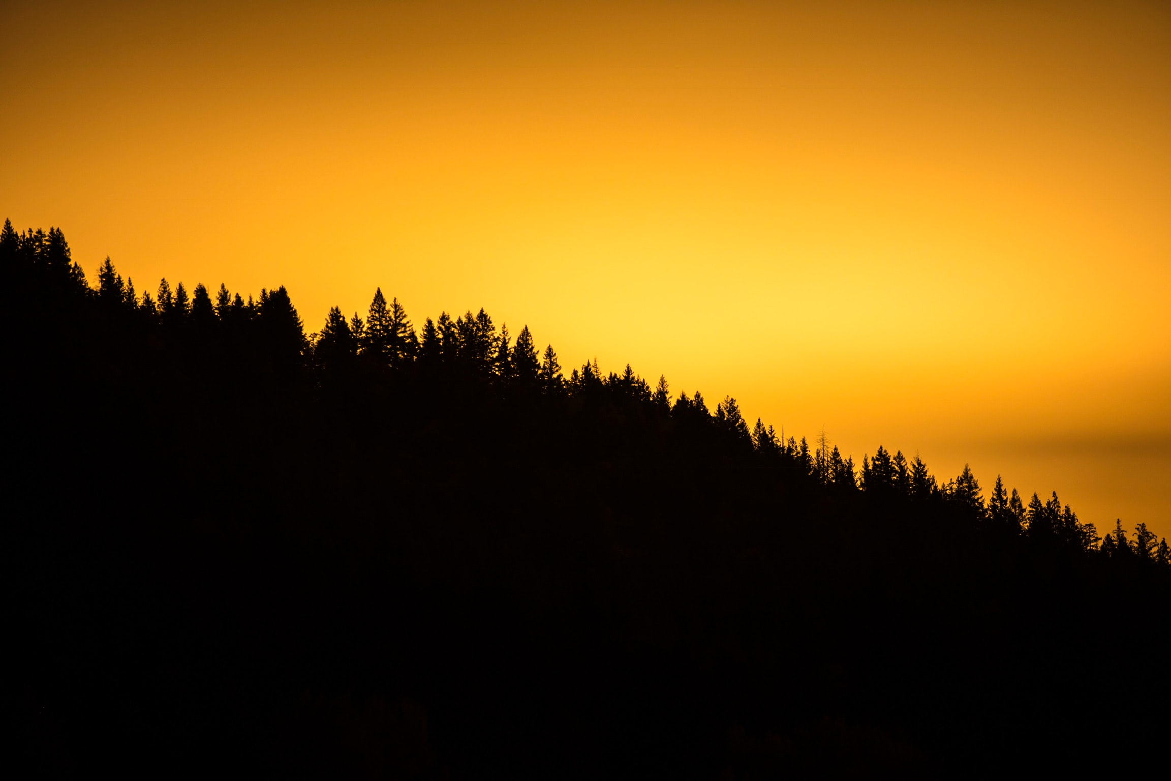 Download mobile wallpaper Horizon, Forest, Nature, Sunset, Silhouette for free.