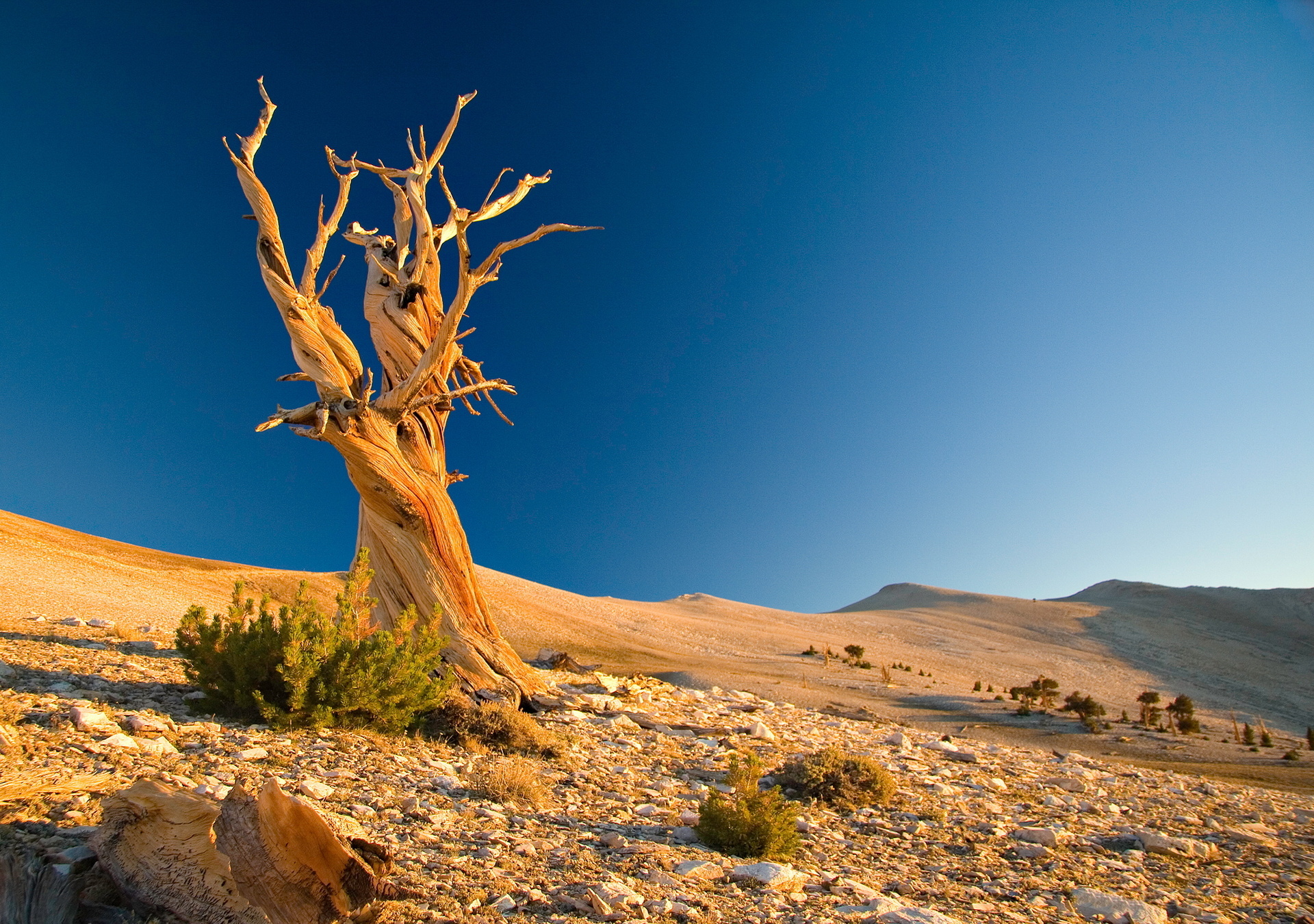 Baixar papel de parede para celular de Deserto, Terra/natureza gratuito.